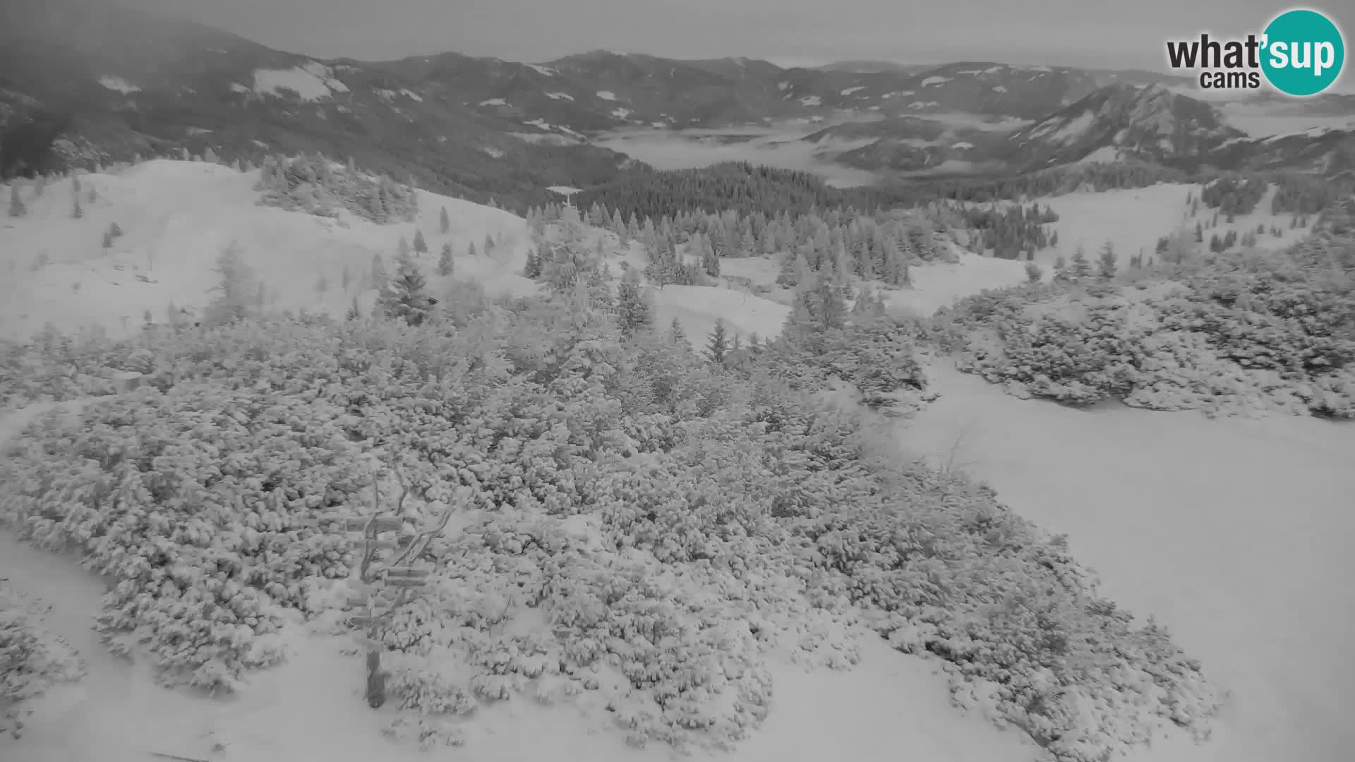 Velika Planina | Gradišče
