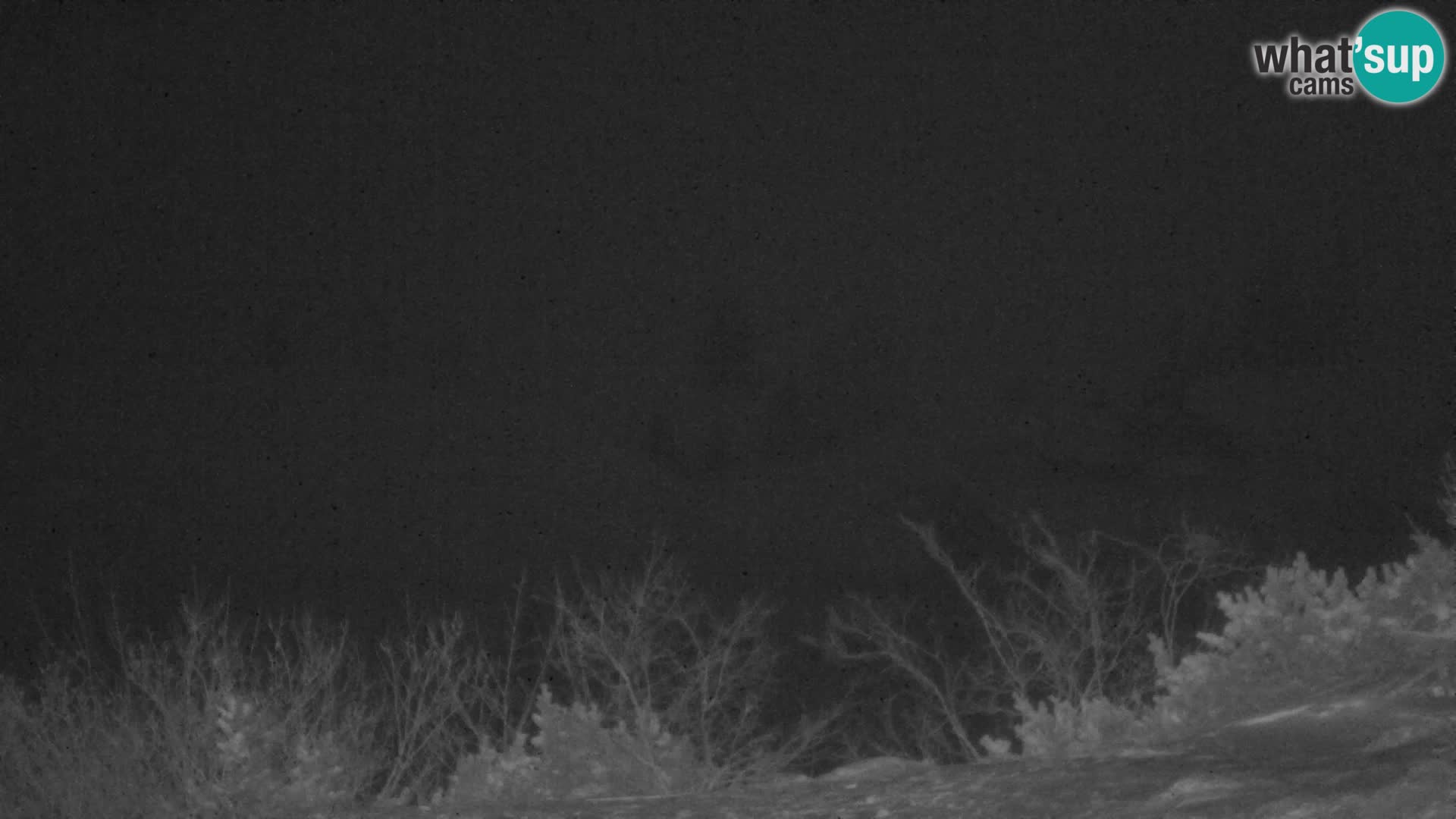 Velika Planina | Gradišče