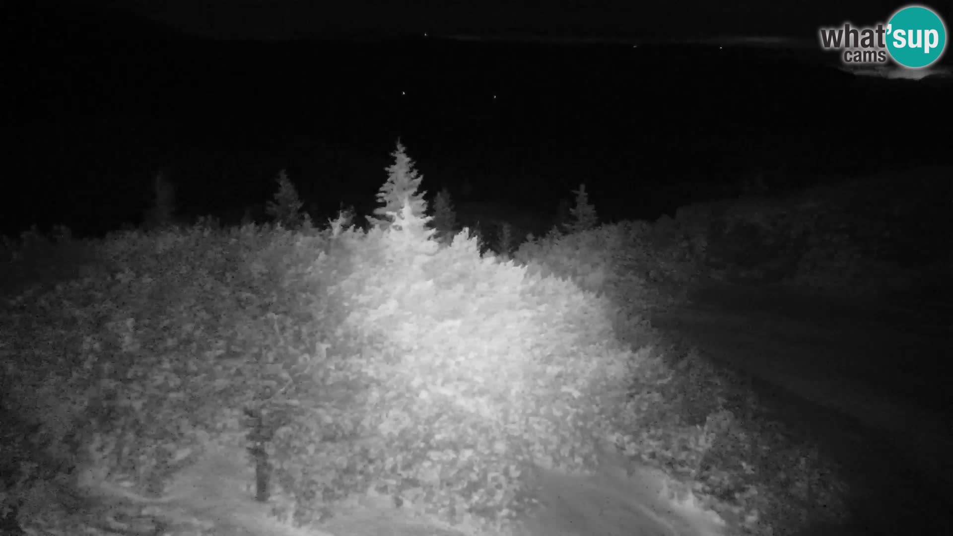 Velika Planina | Gradišče