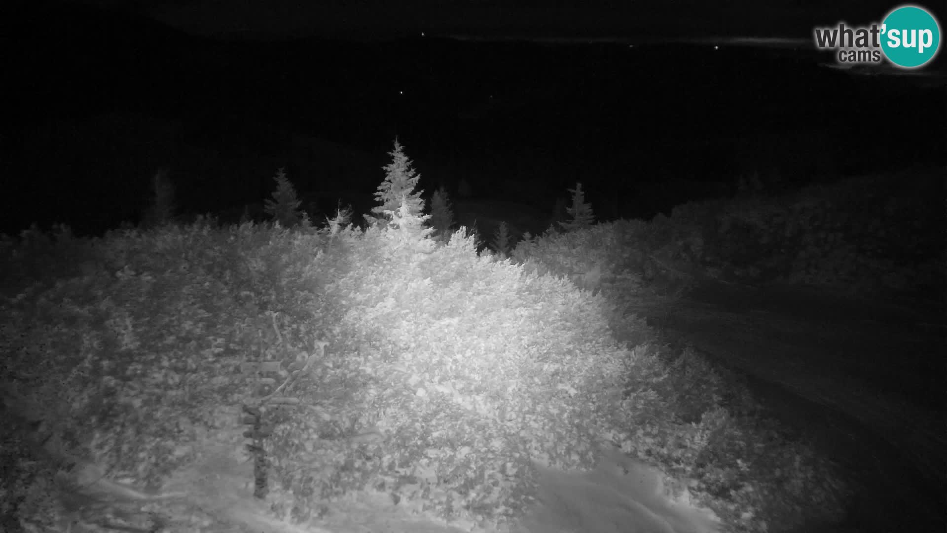 Velika Planina | Gradišče