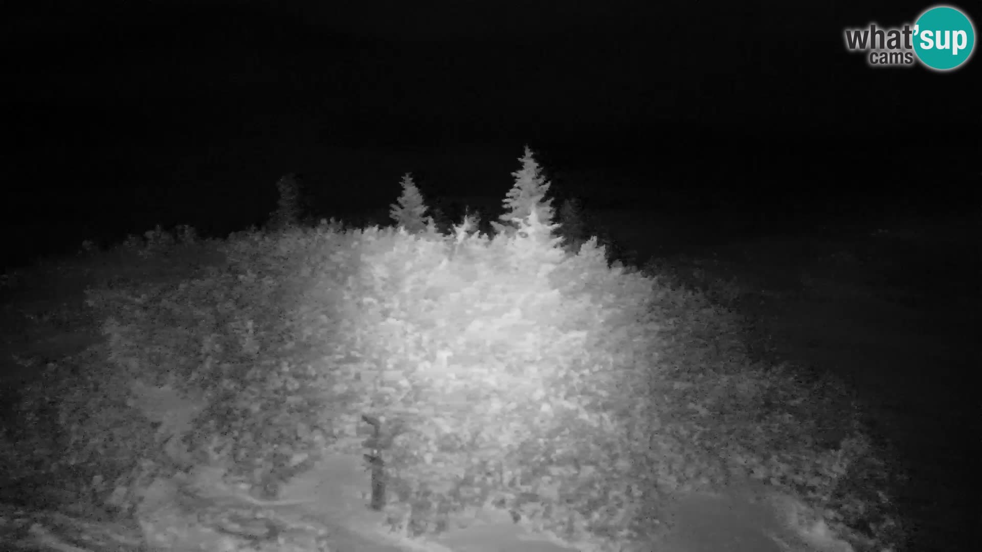 Velika Planina | Gradišče