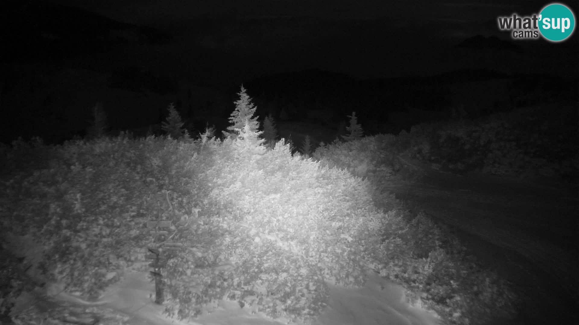Velika Planina | Gradišče