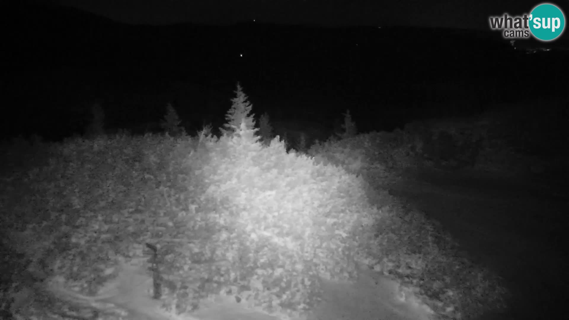 Velika Planina | Gradišče