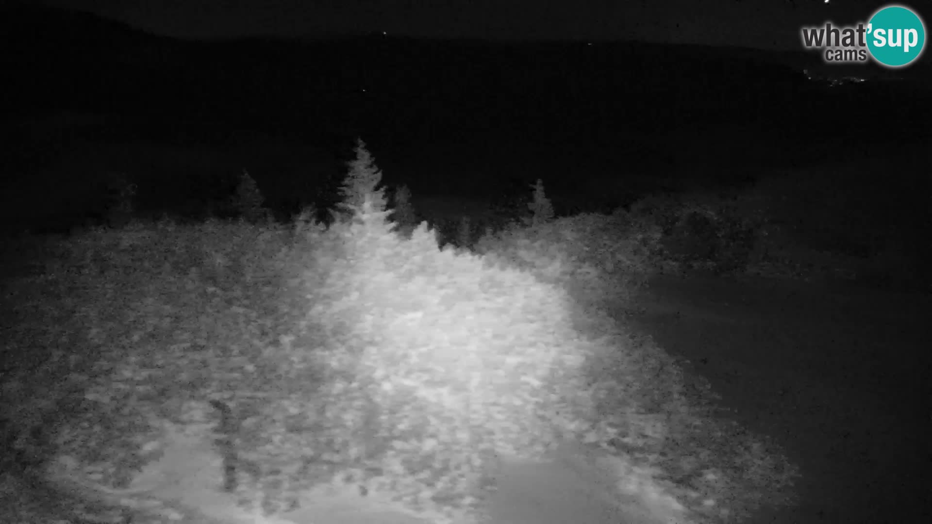 Velika Planina | Gradišče