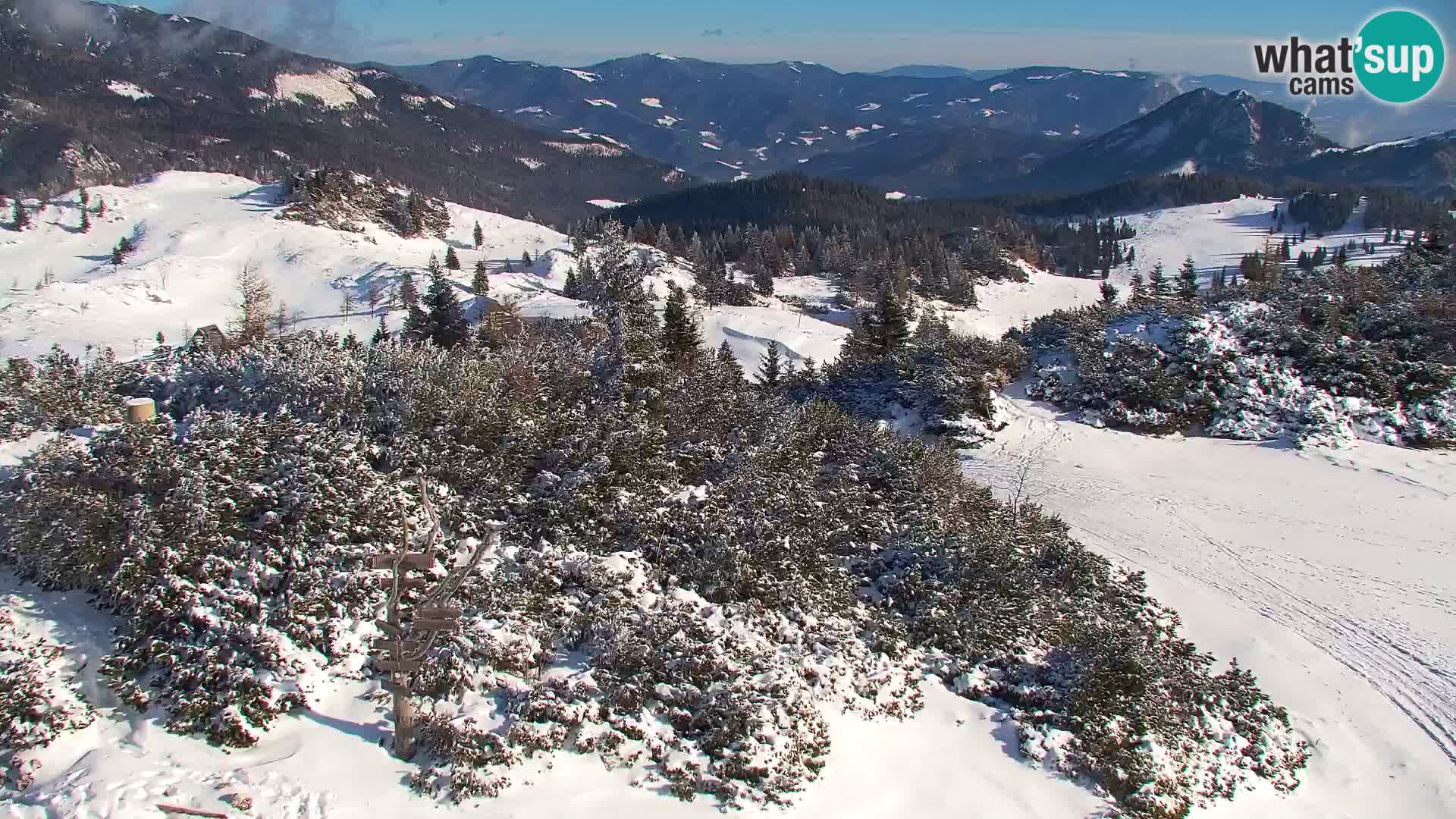 Velika Planina | Gradišče
