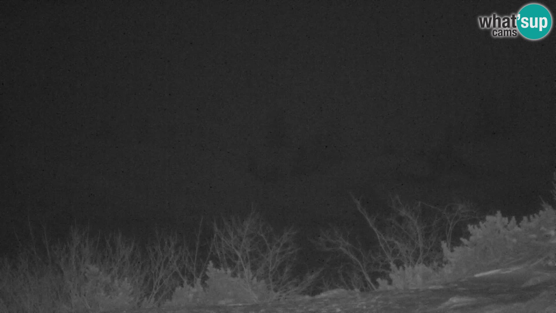 Velika Planina | Gradišče