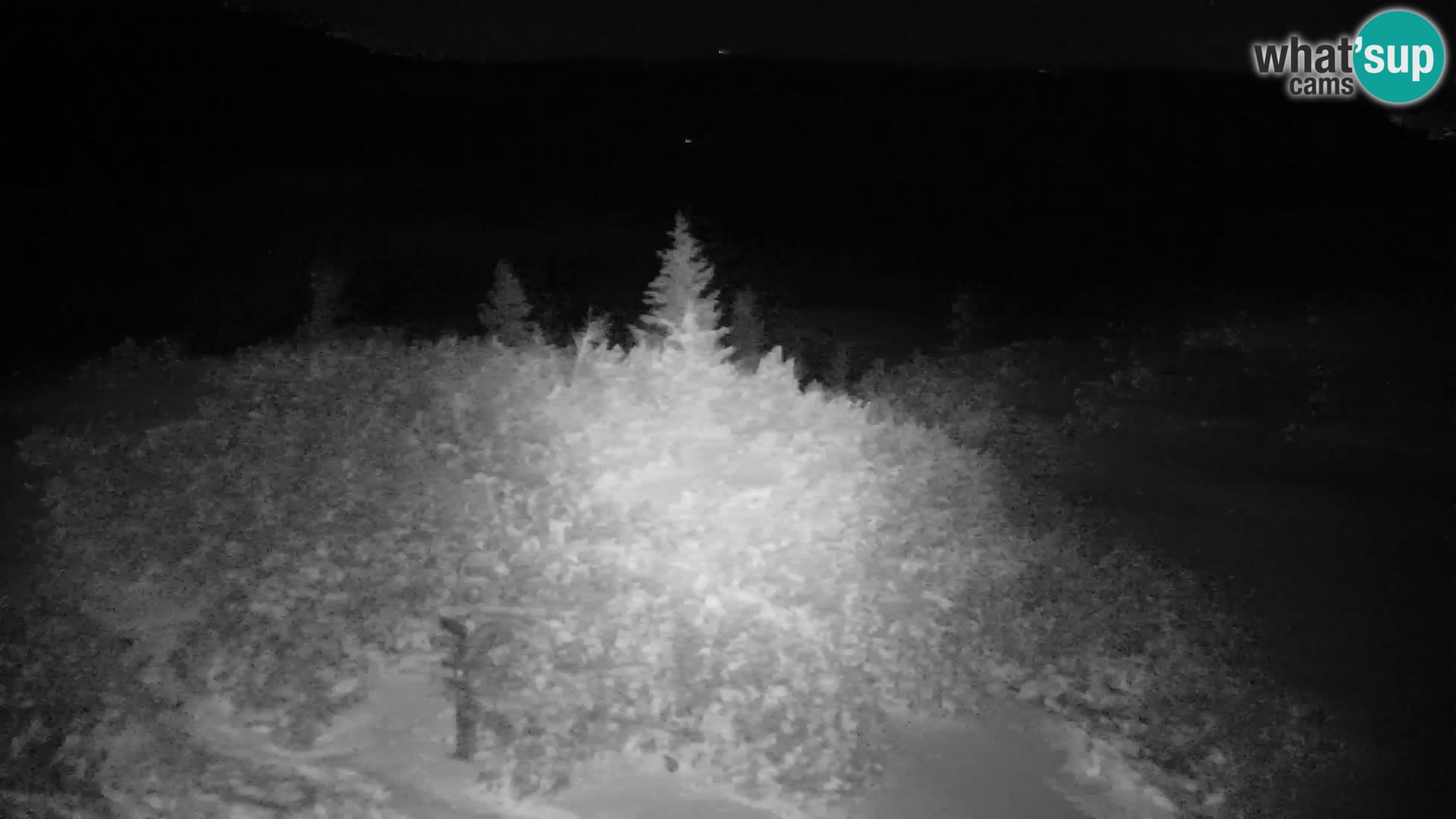 Velika Planina | Gradišče