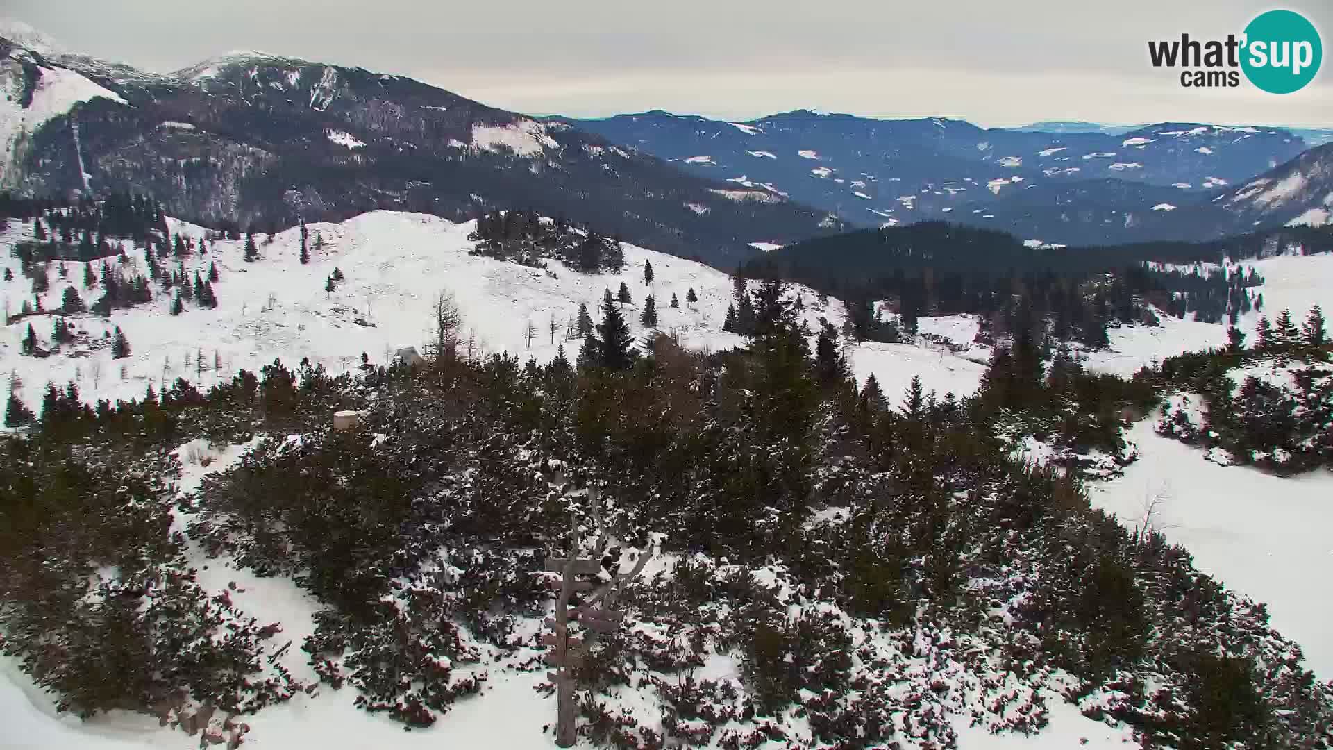 Velika Planina | Gradišče