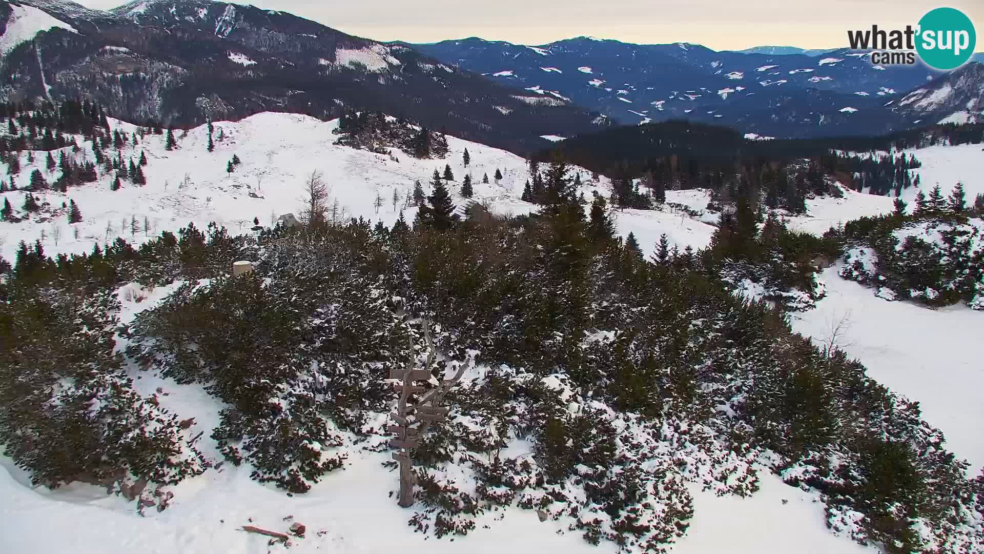 Velika Planina | Gradišče