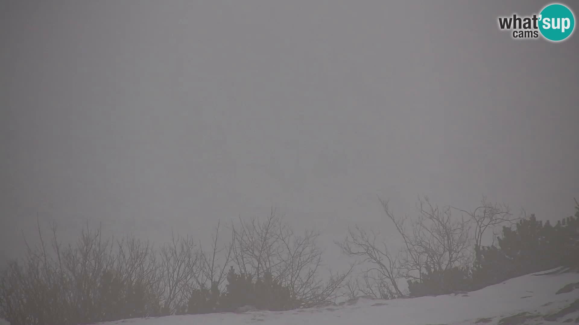 Velika Planina | Gradišče
