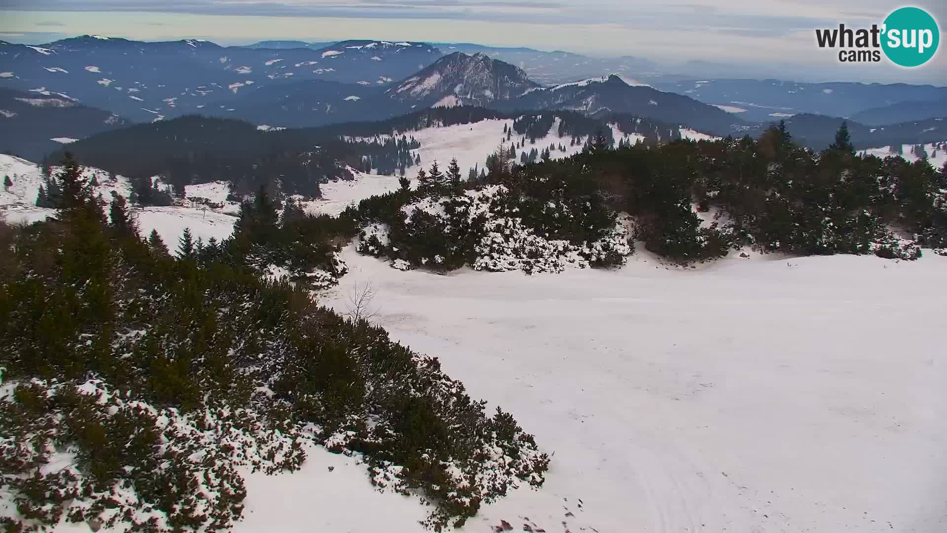 Velika Planina | Gradišče