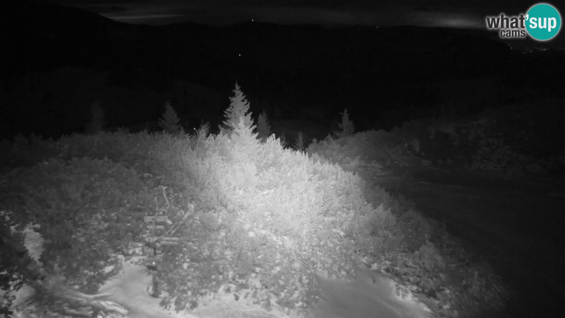 Velika Planina | Gradišče