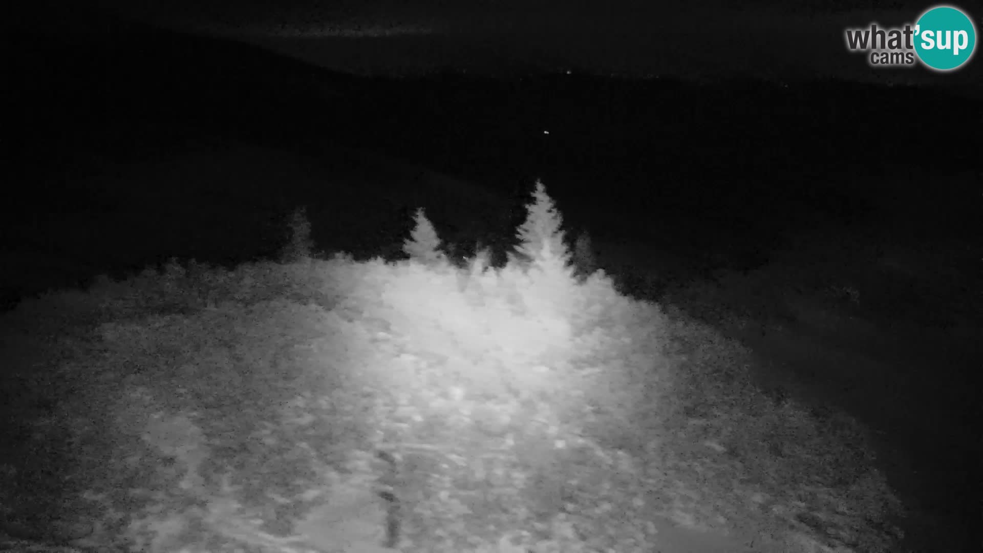 Velika Planina | Gradišče