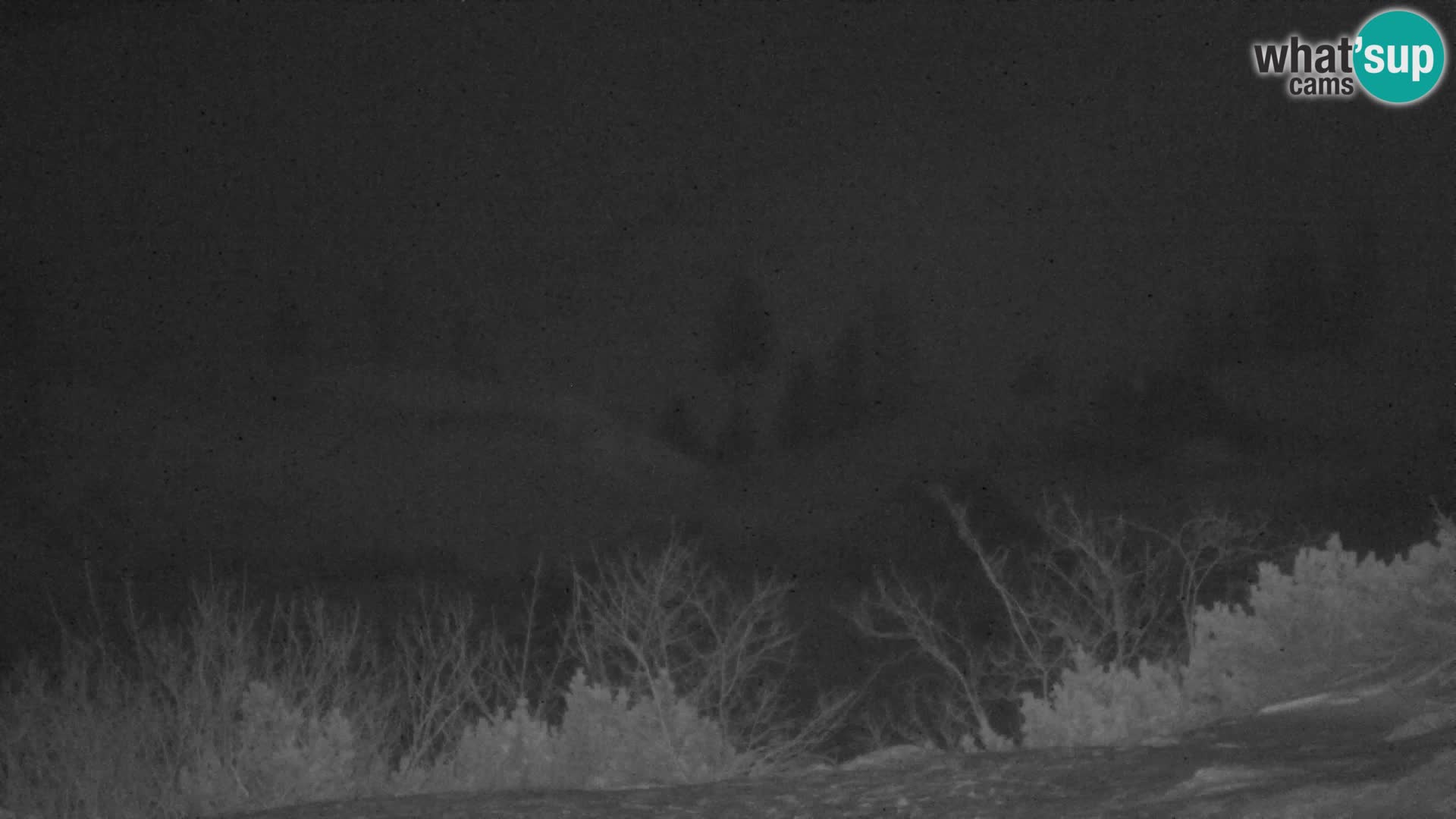 Velika Planina | Gradišče