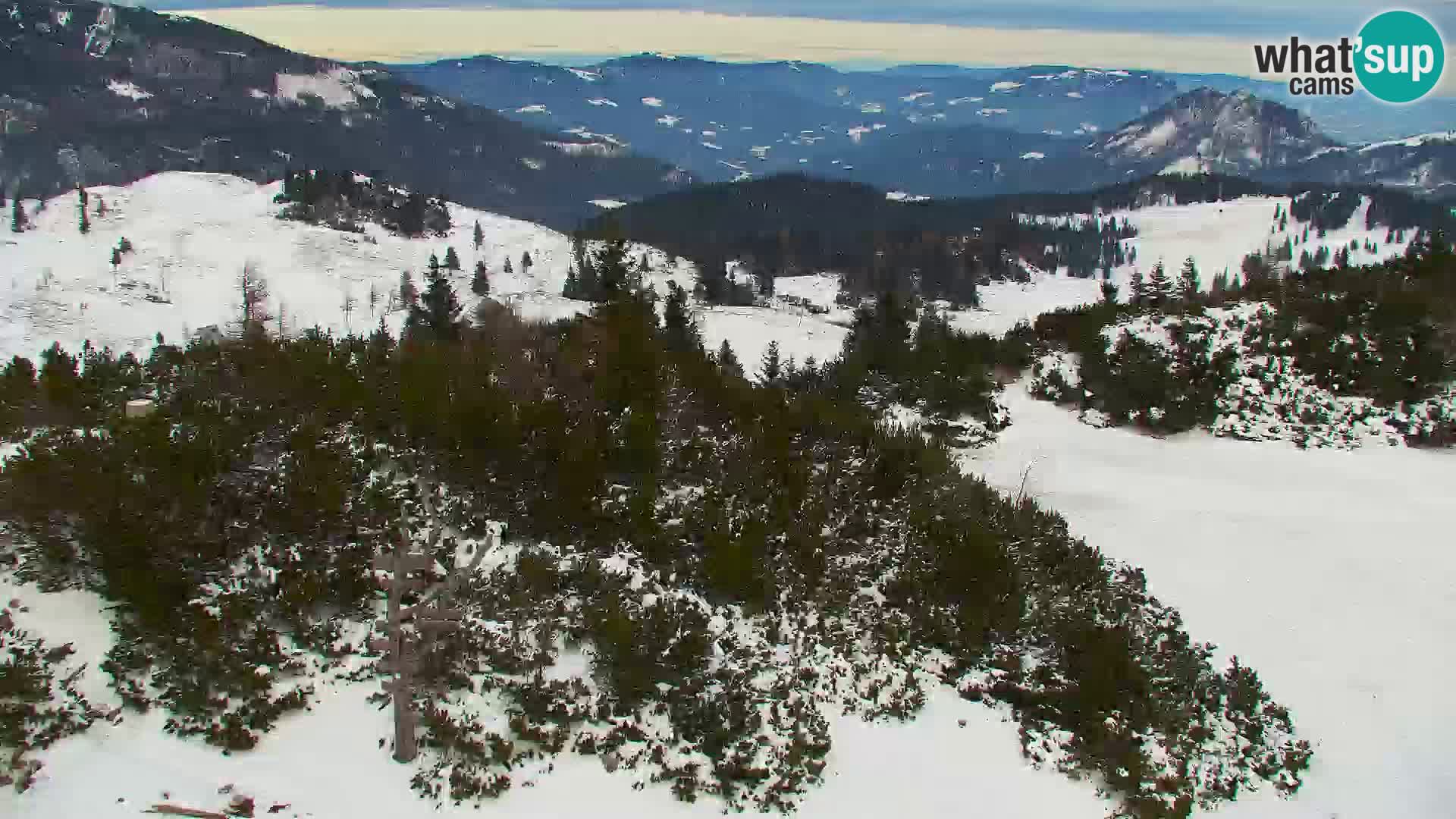 Velika Planina | Gradišče