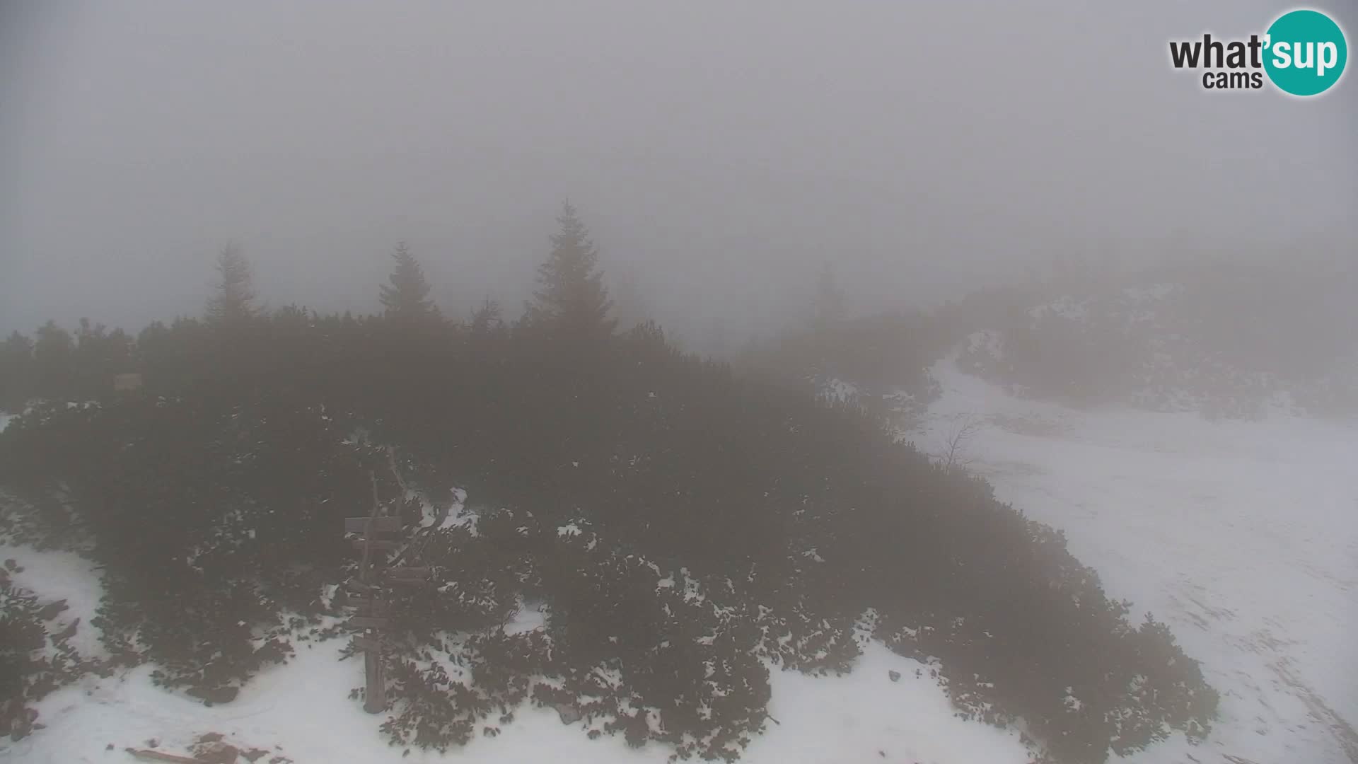 Velika Planina | Gradišče