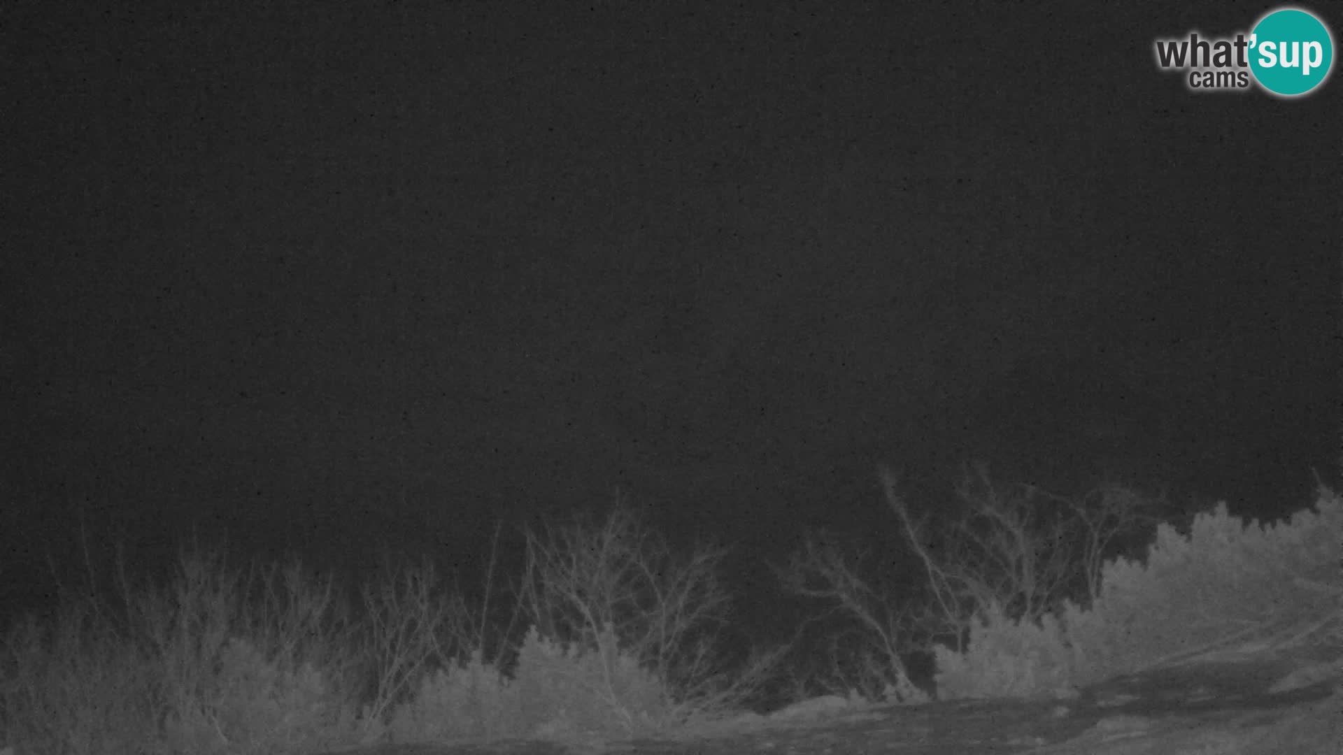 Velika Planina | Gradišče