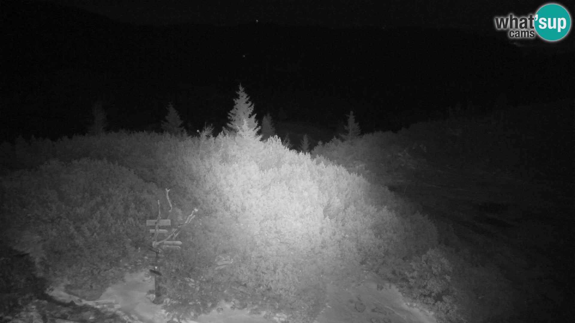 Velika Planina | Gradišče