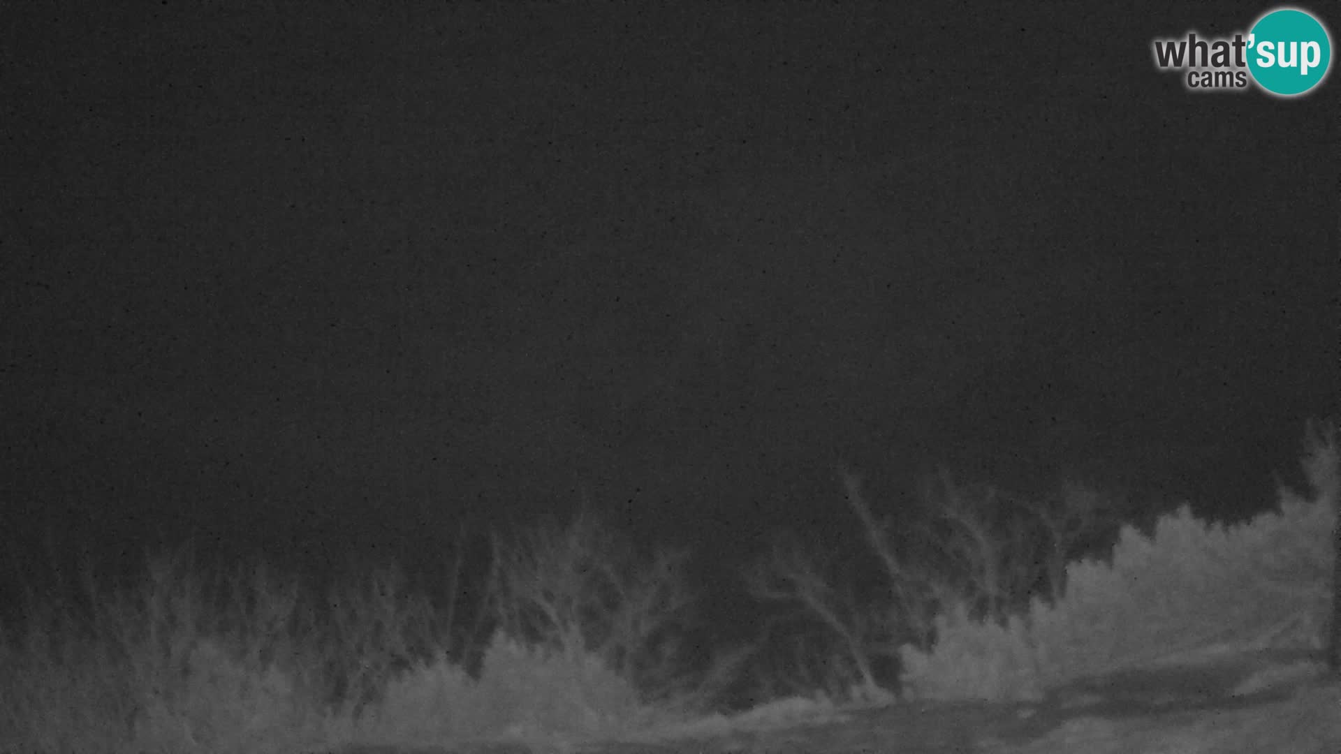 Velika Planina | Gradišče