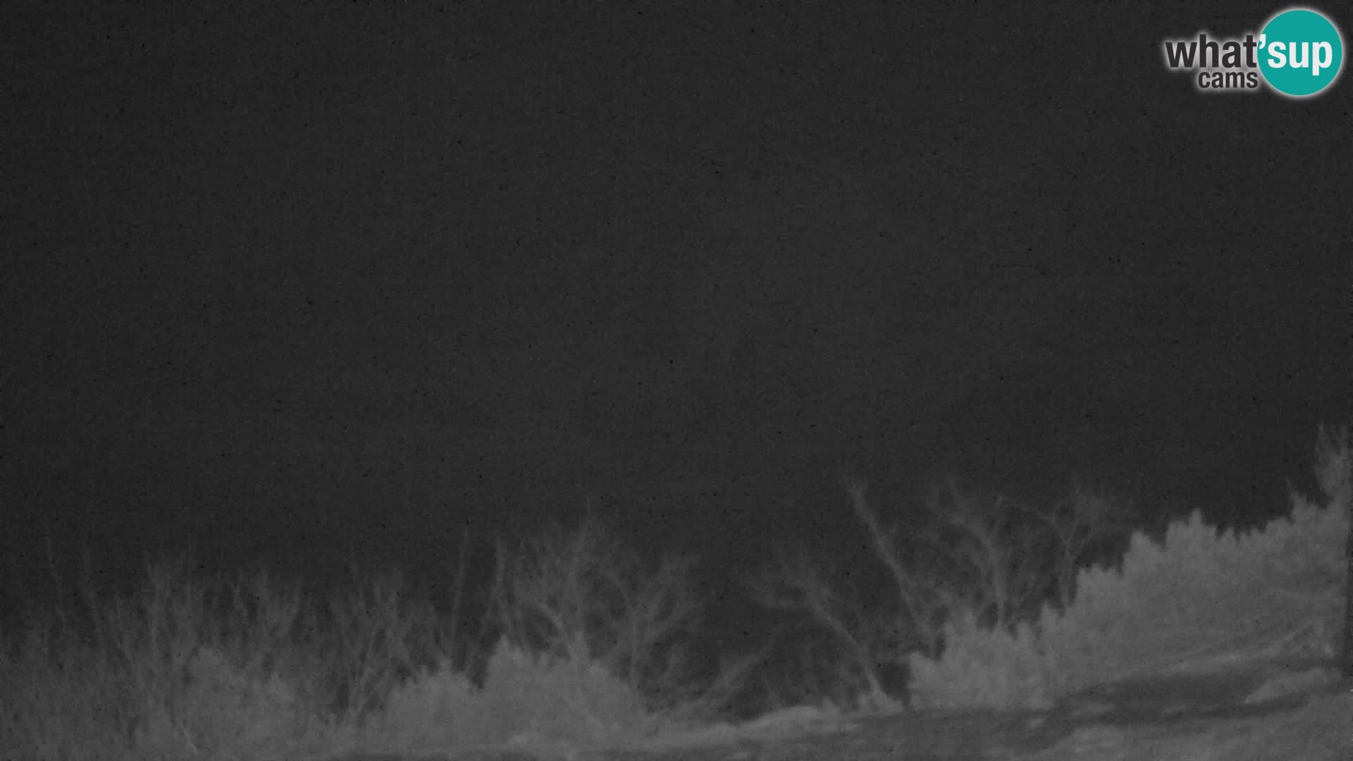 Velika Planina | Gradišče