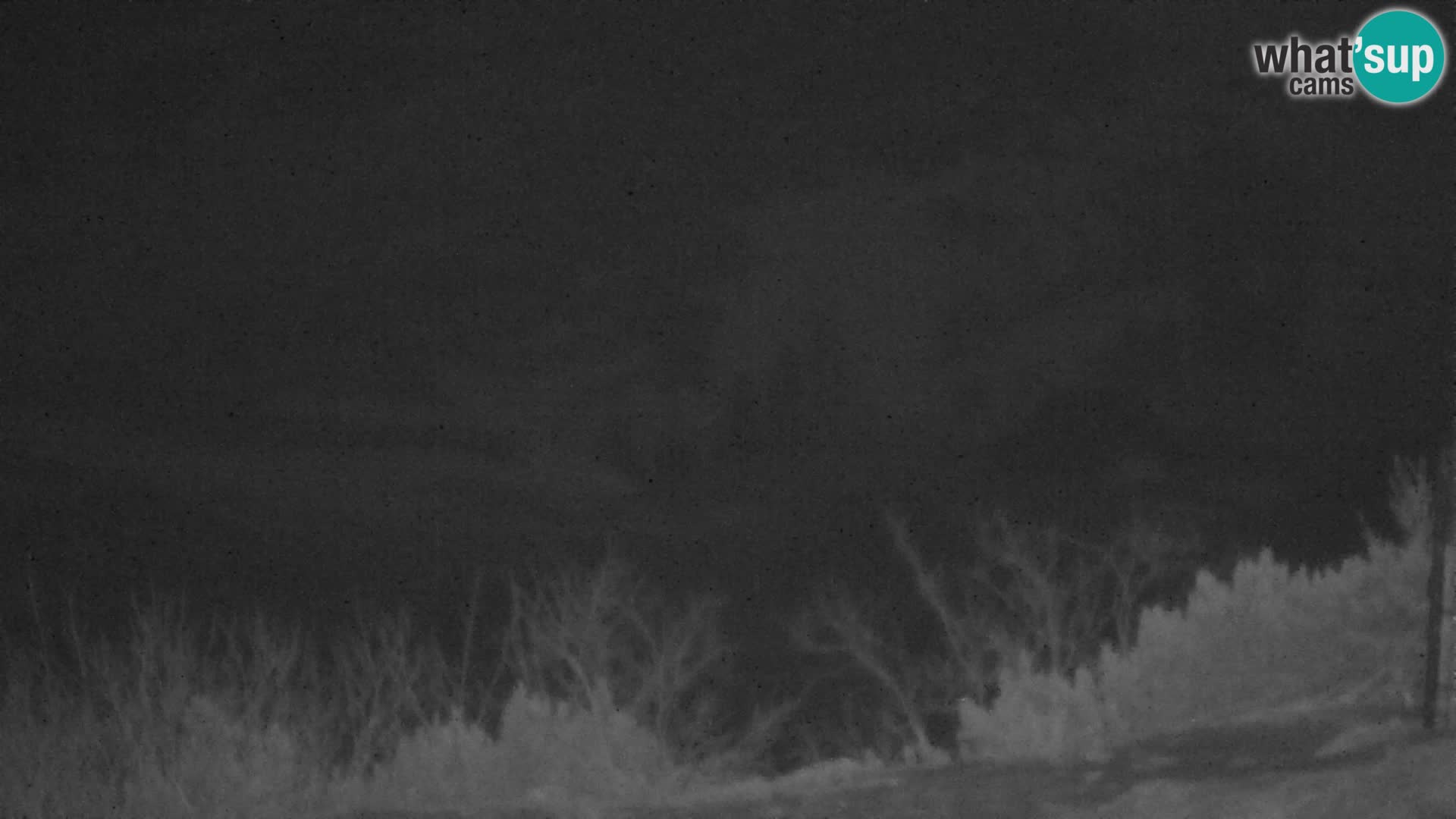 Velika Planina | Gradišče