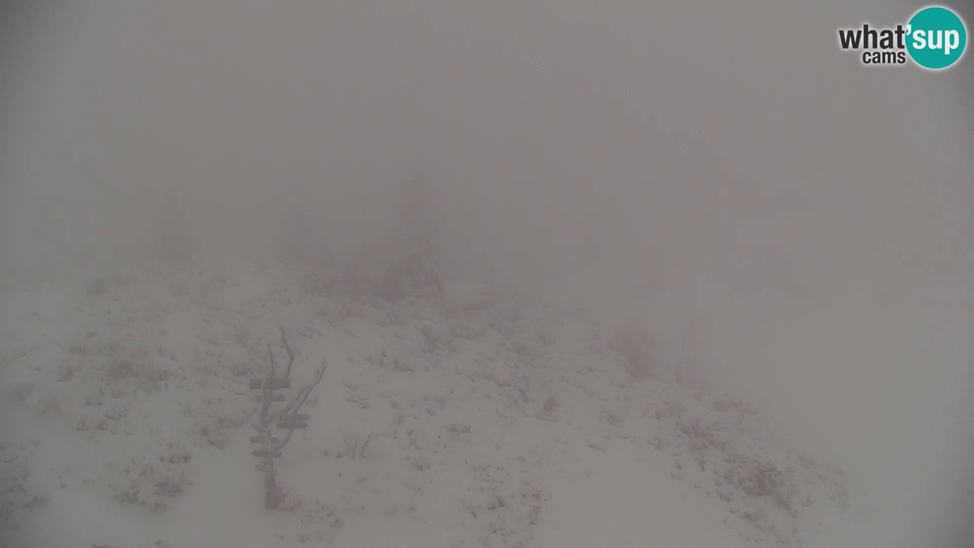 Velika Planina | Gradišče