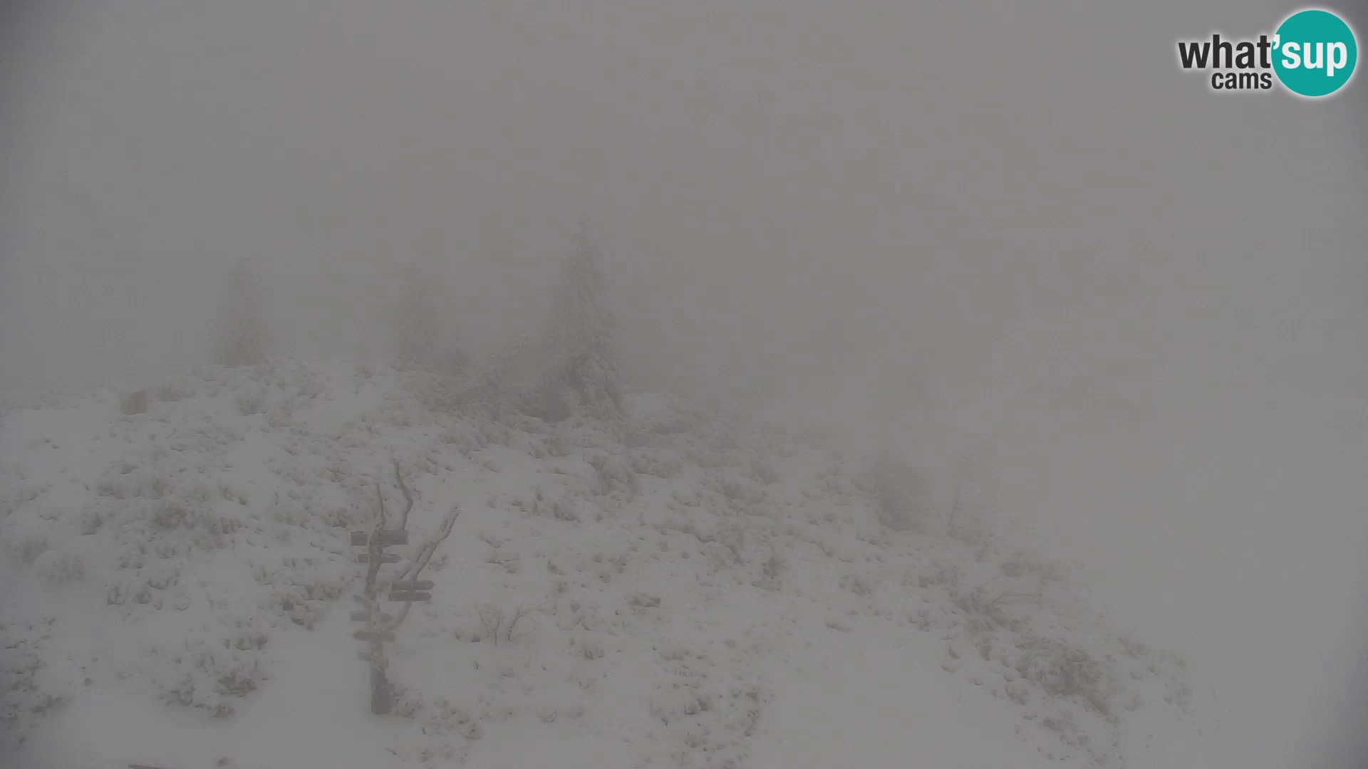 Velika Planina | Gradišče