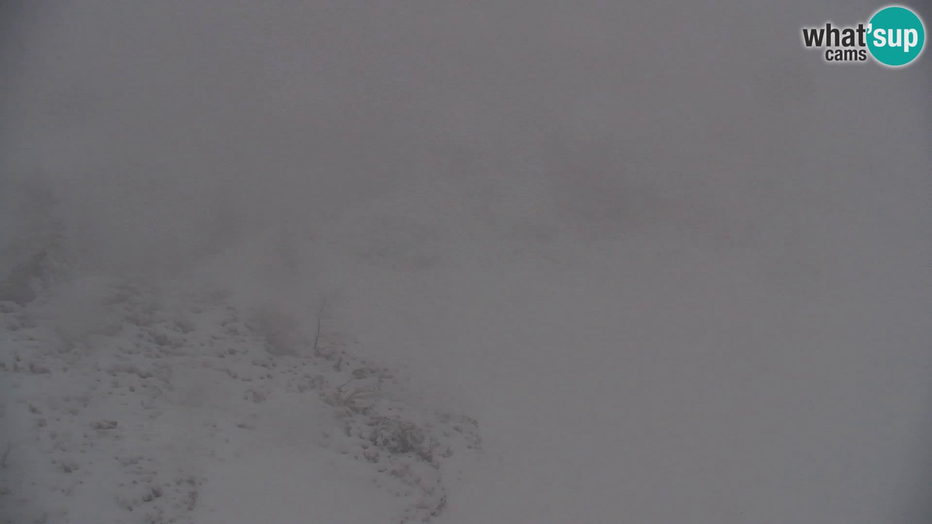 Velika Planina | Gradišče