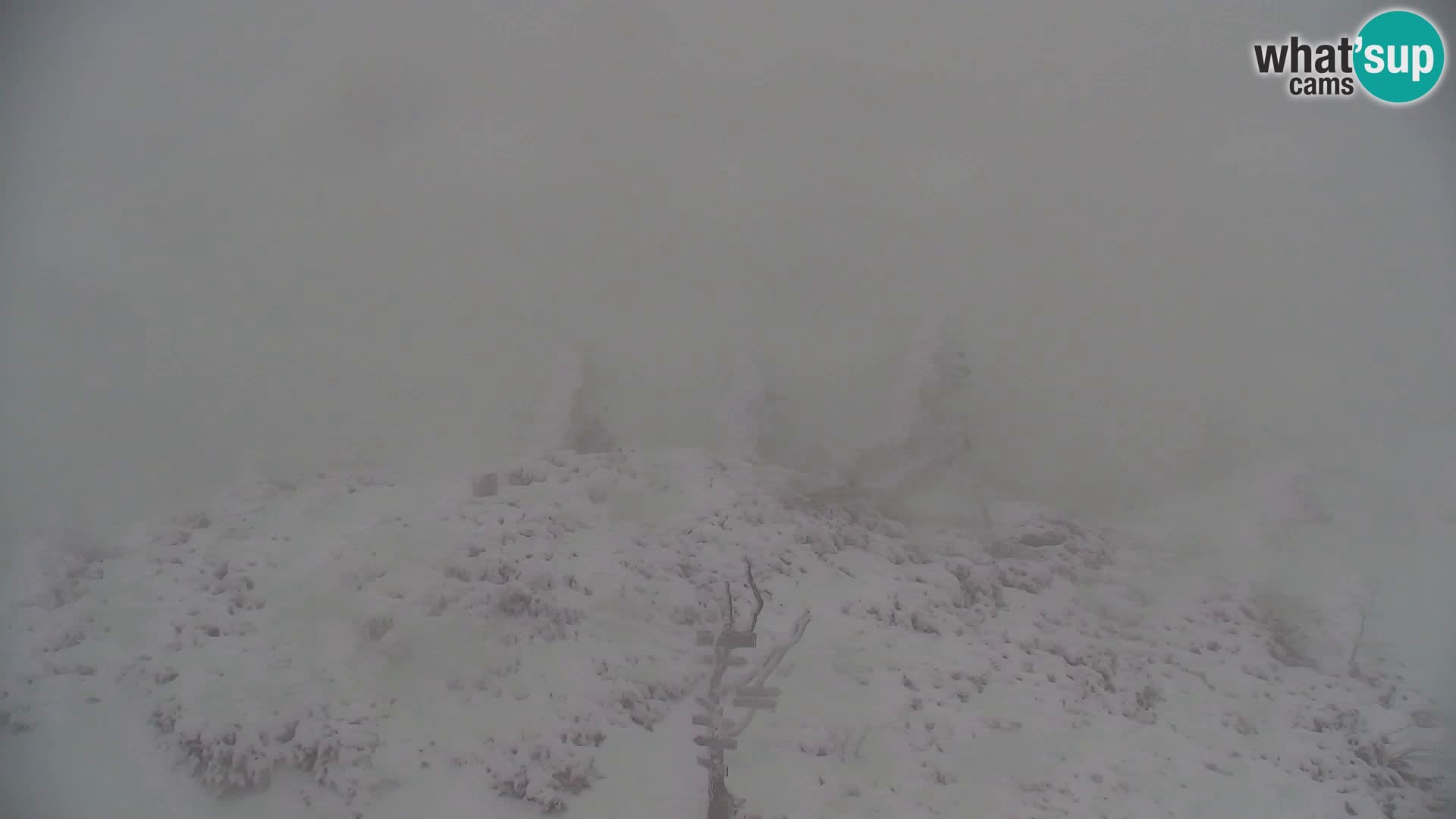 Velika Planina | Gradišče
