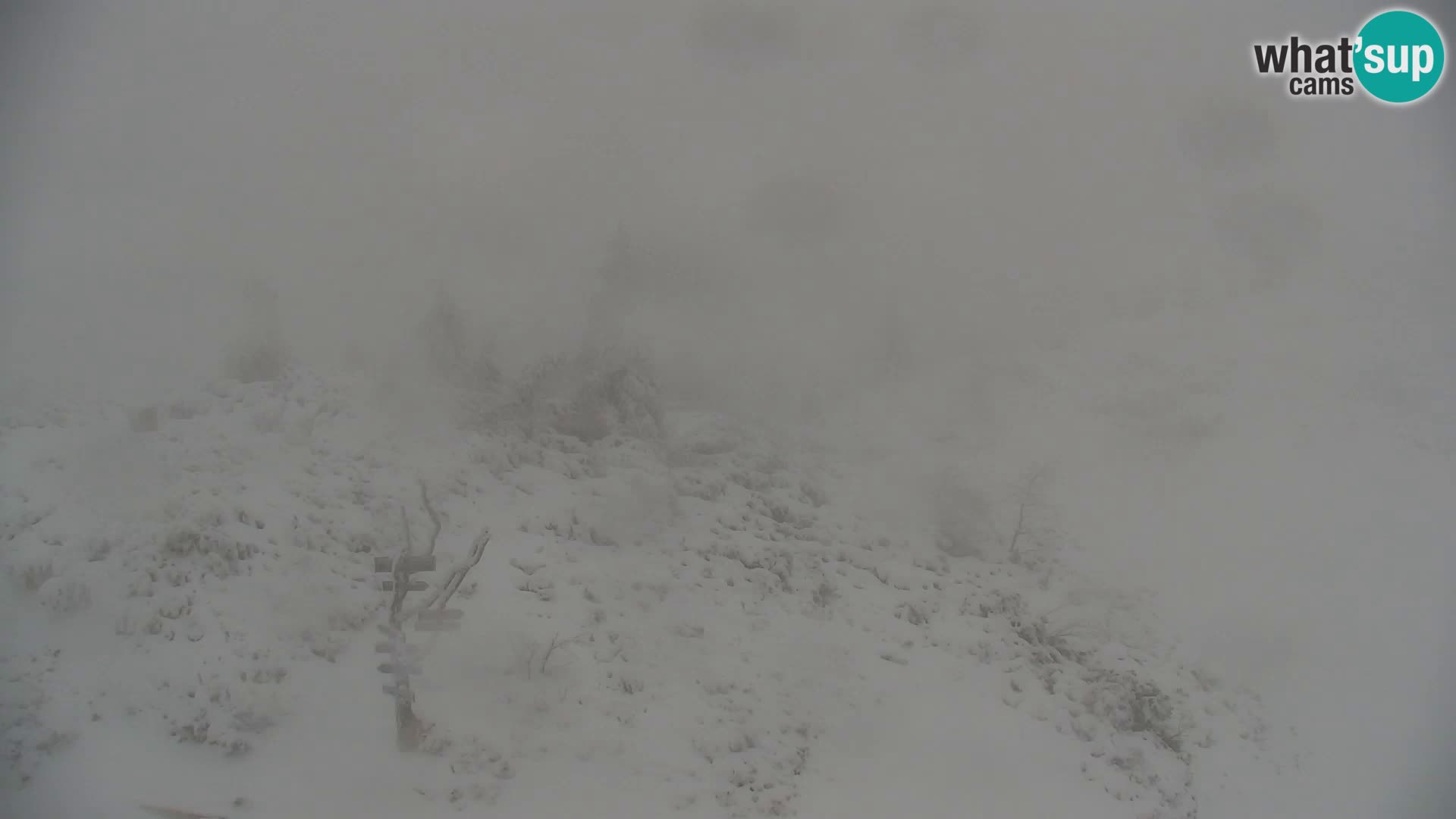 Velika Planina | Gradišče