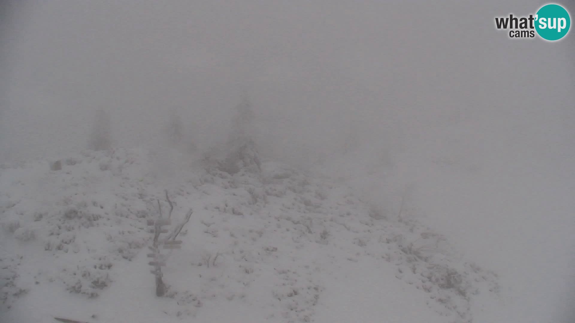 Velika Planina | Gradišče