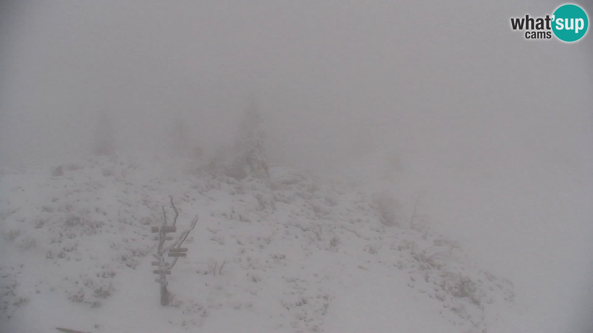 Velika Planina | Gradišče