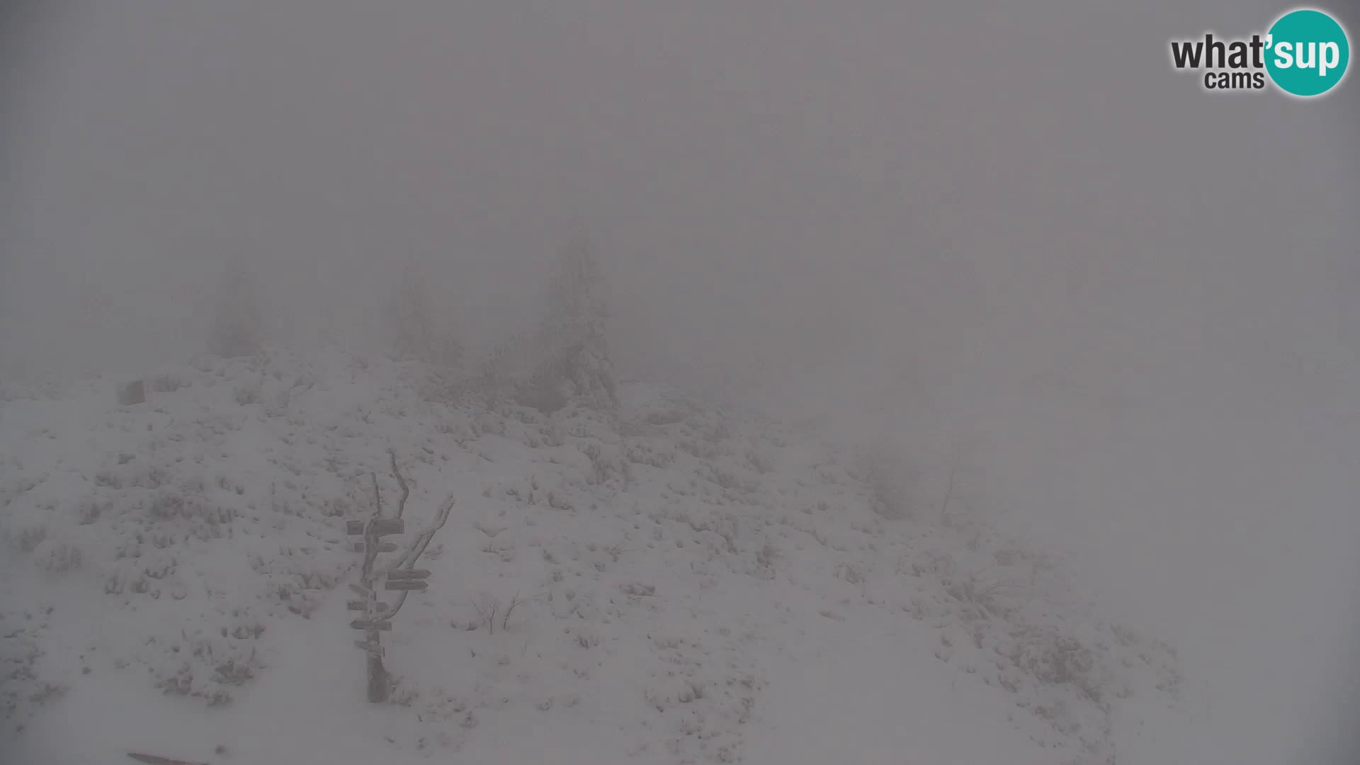Velika Planina | Gradišče