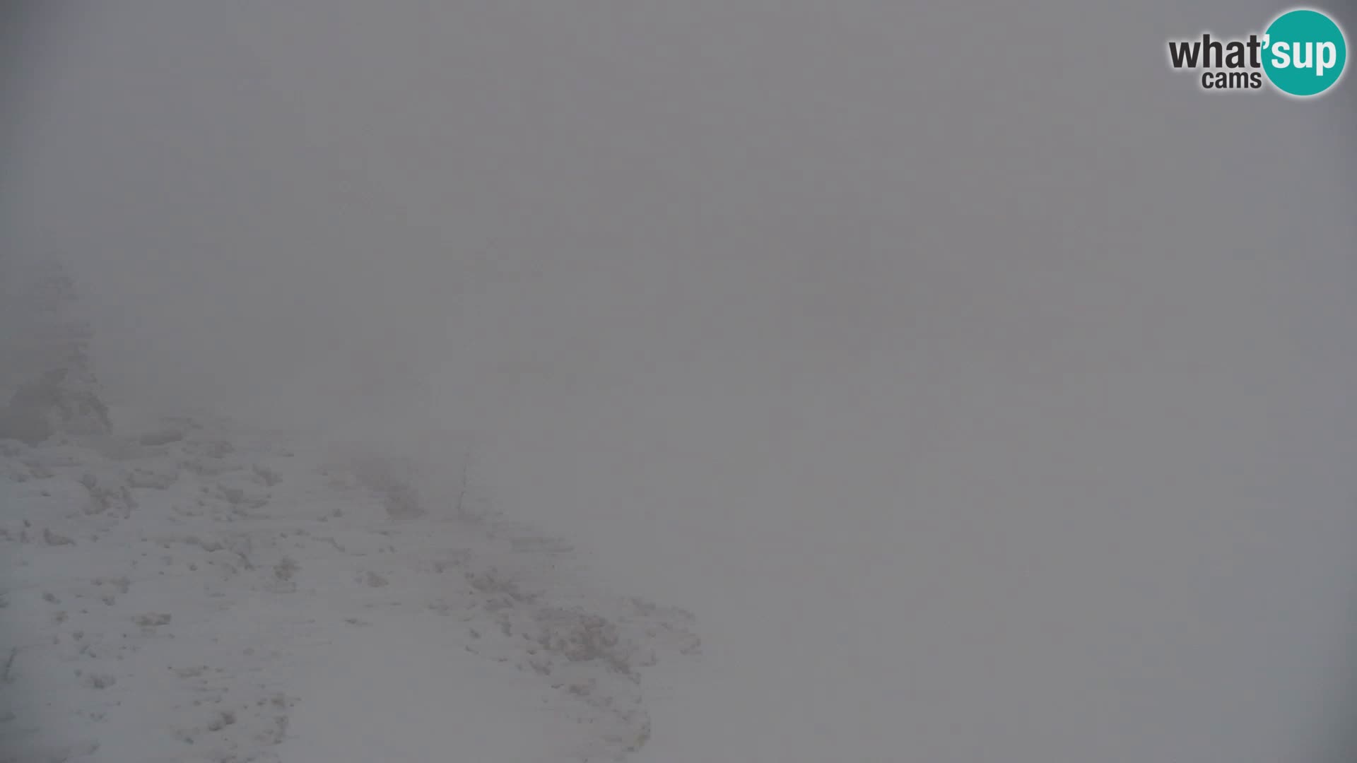 Velika Planina | Gradišče