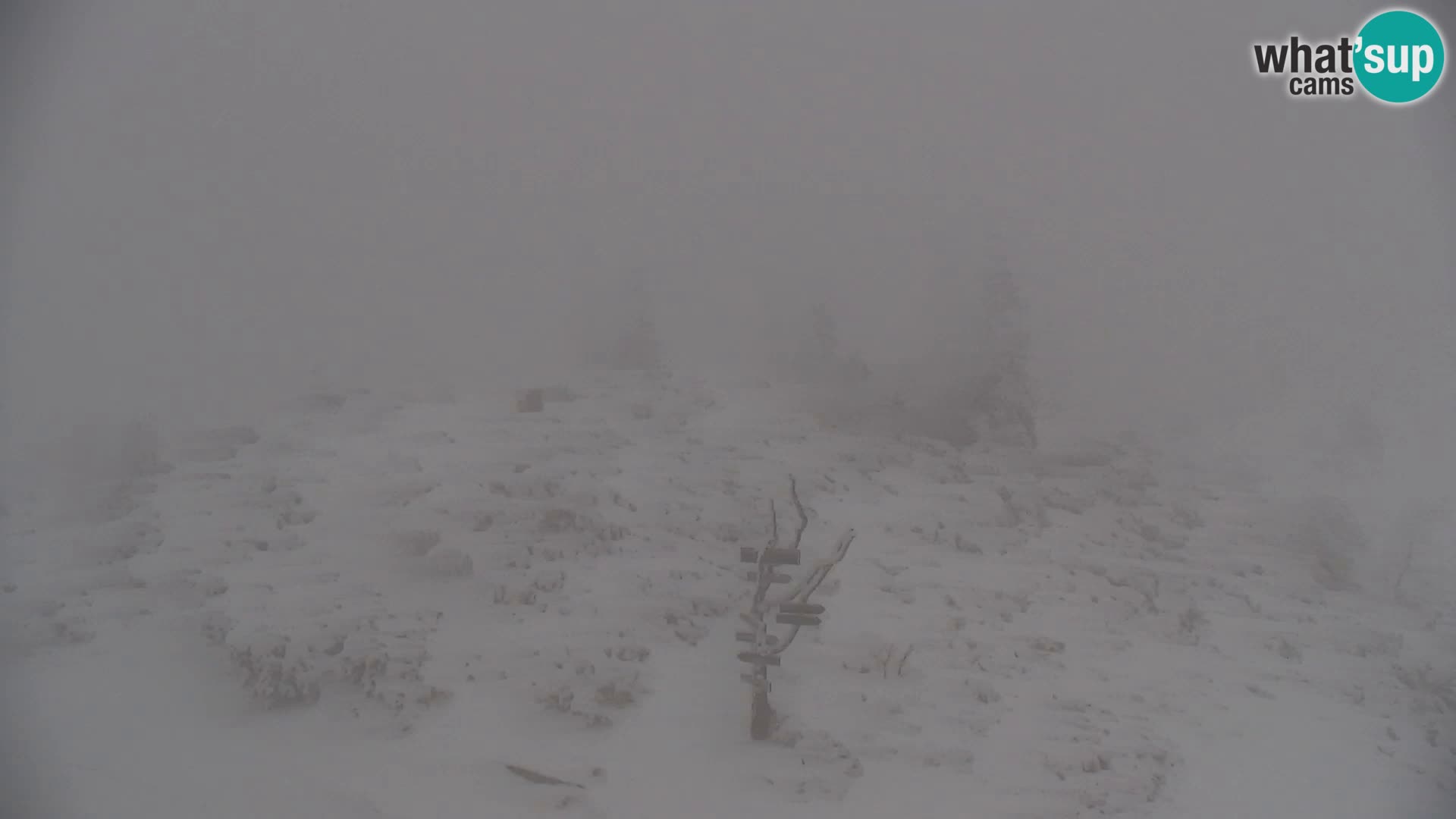Velika Planina | Gradišče
