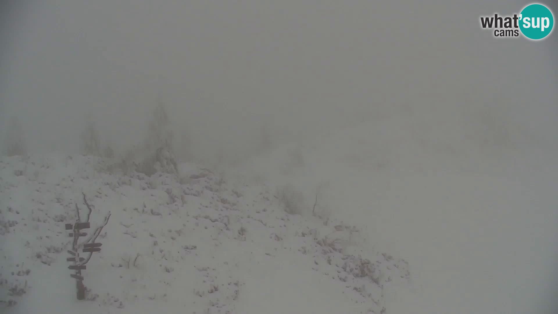 Velika Planina | Gradišče