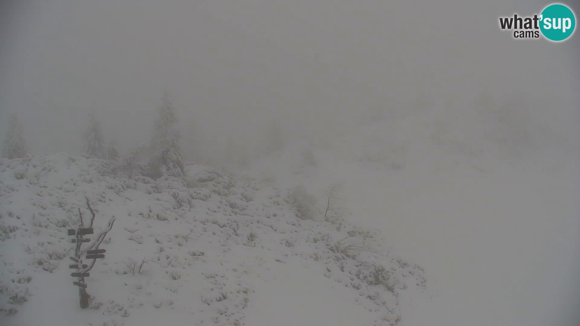 Velika Planina | Gradišče