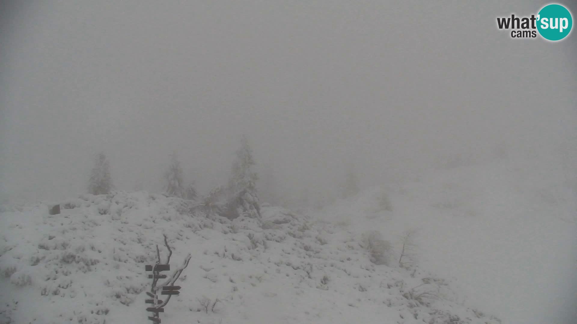 Velika Planina | Gradišče