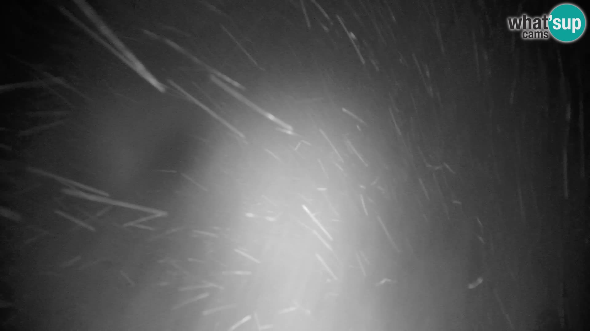 Velika Planina | Gradišče