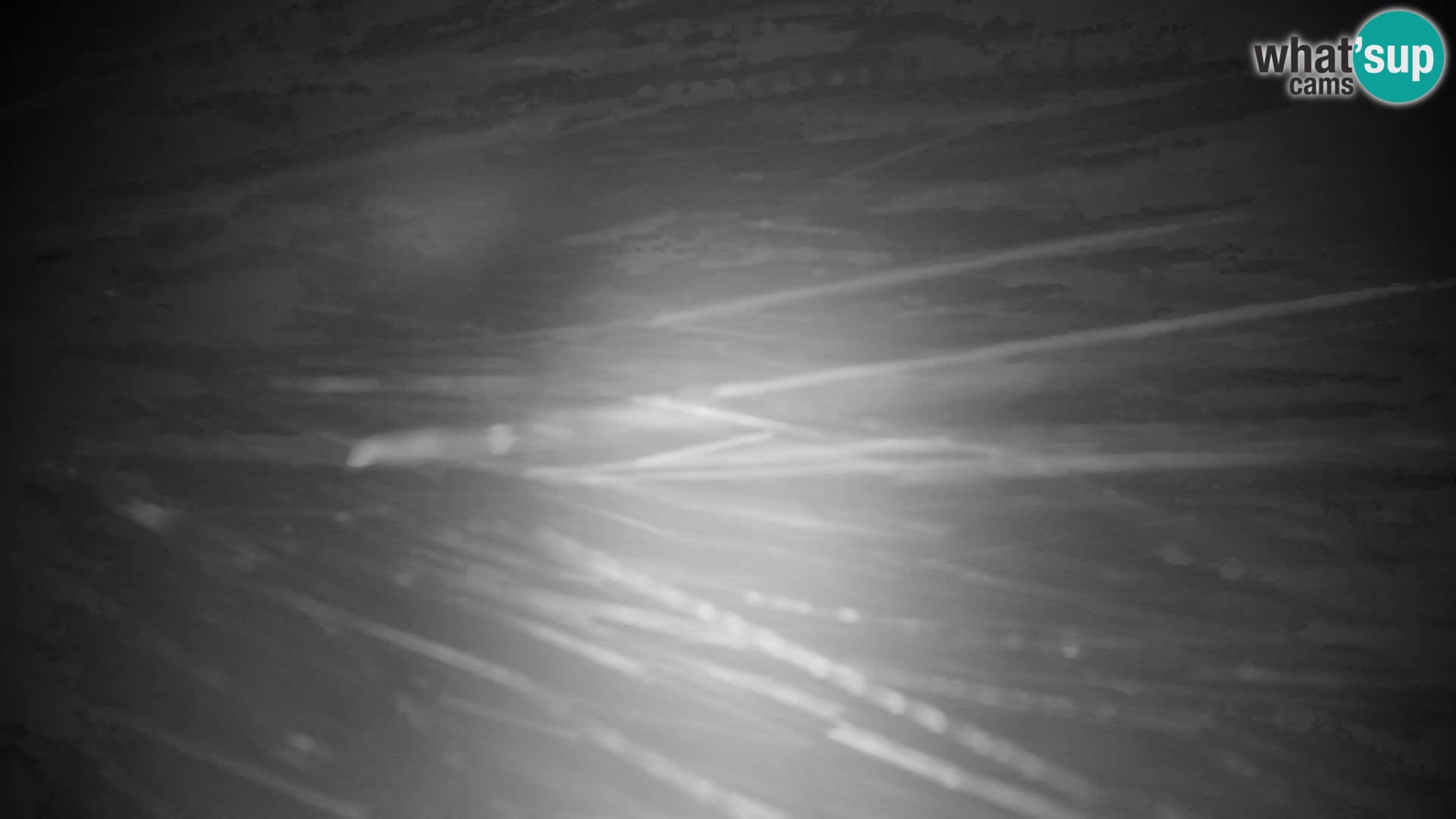 Velika Planina | Gradišče