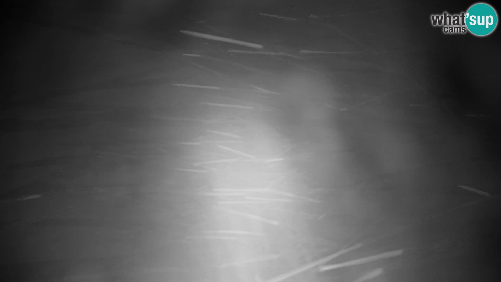 Velika Planina | Gradišče