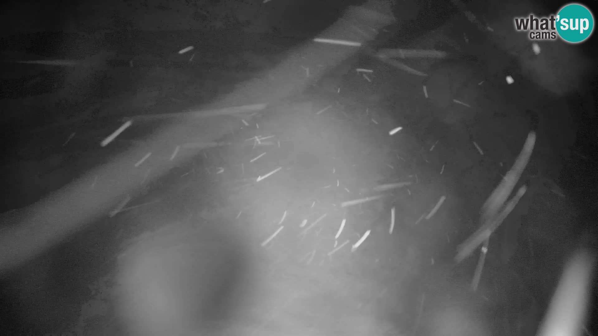 Velika Planina | Gradišče