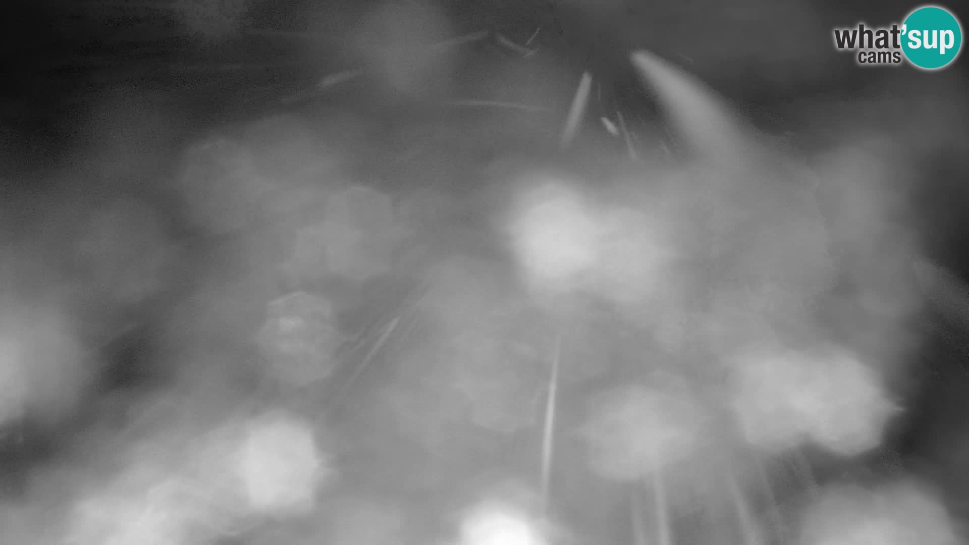 Velika Planina | Gradišče