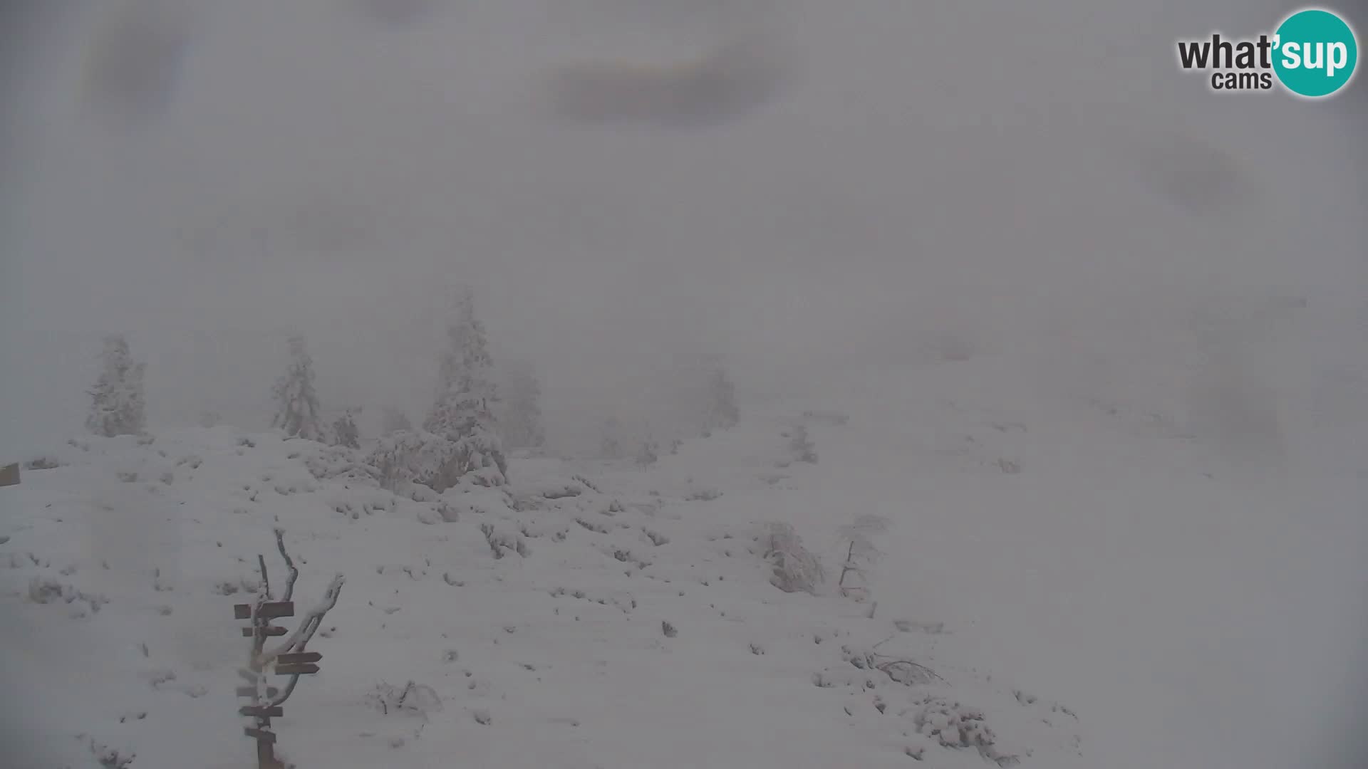 Velika Planina | Gradišče