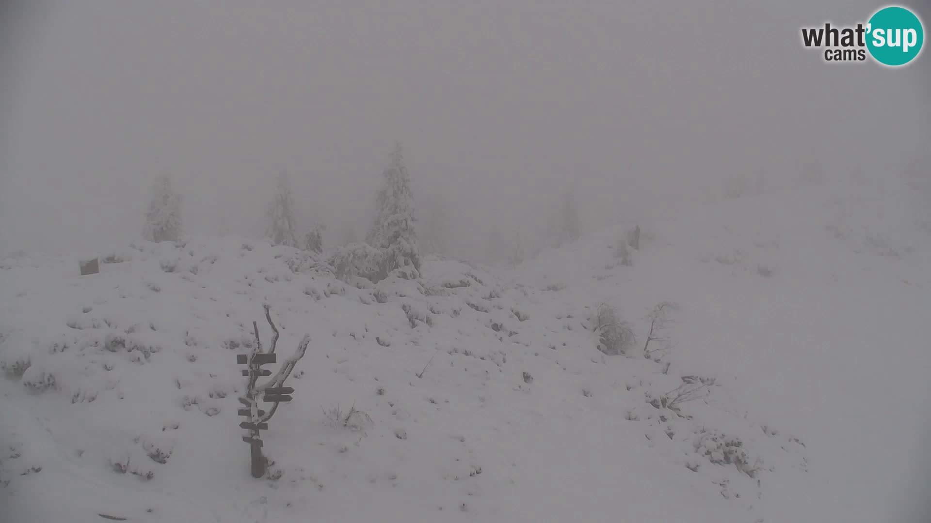 Velika Planina | Gradišče