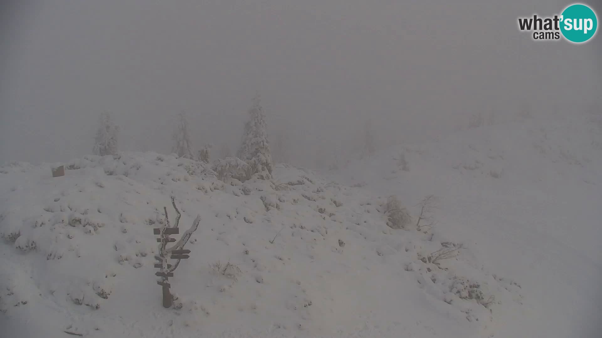 Velika Planina | Gradišče