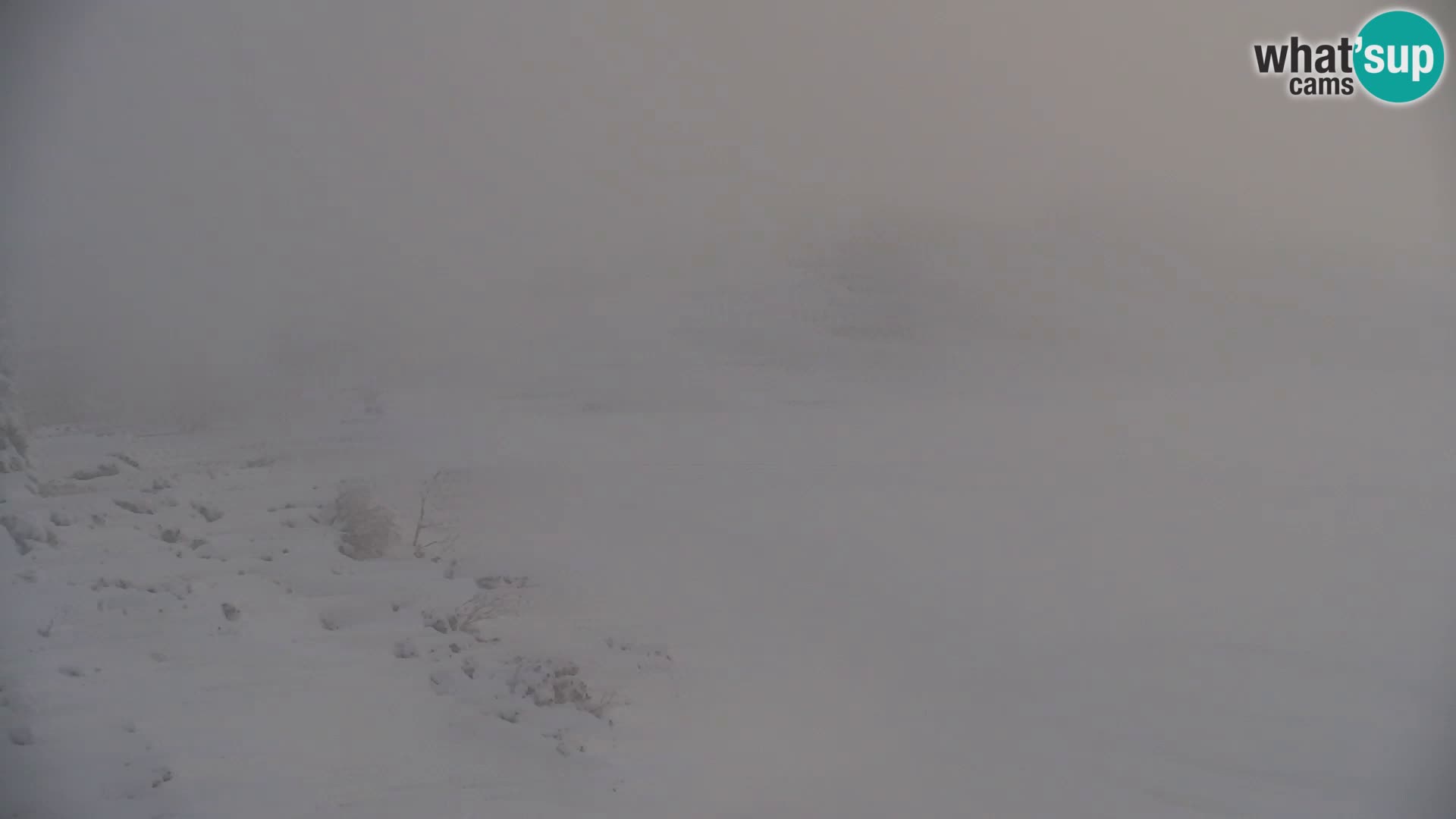 Velika Planina | Gradišče