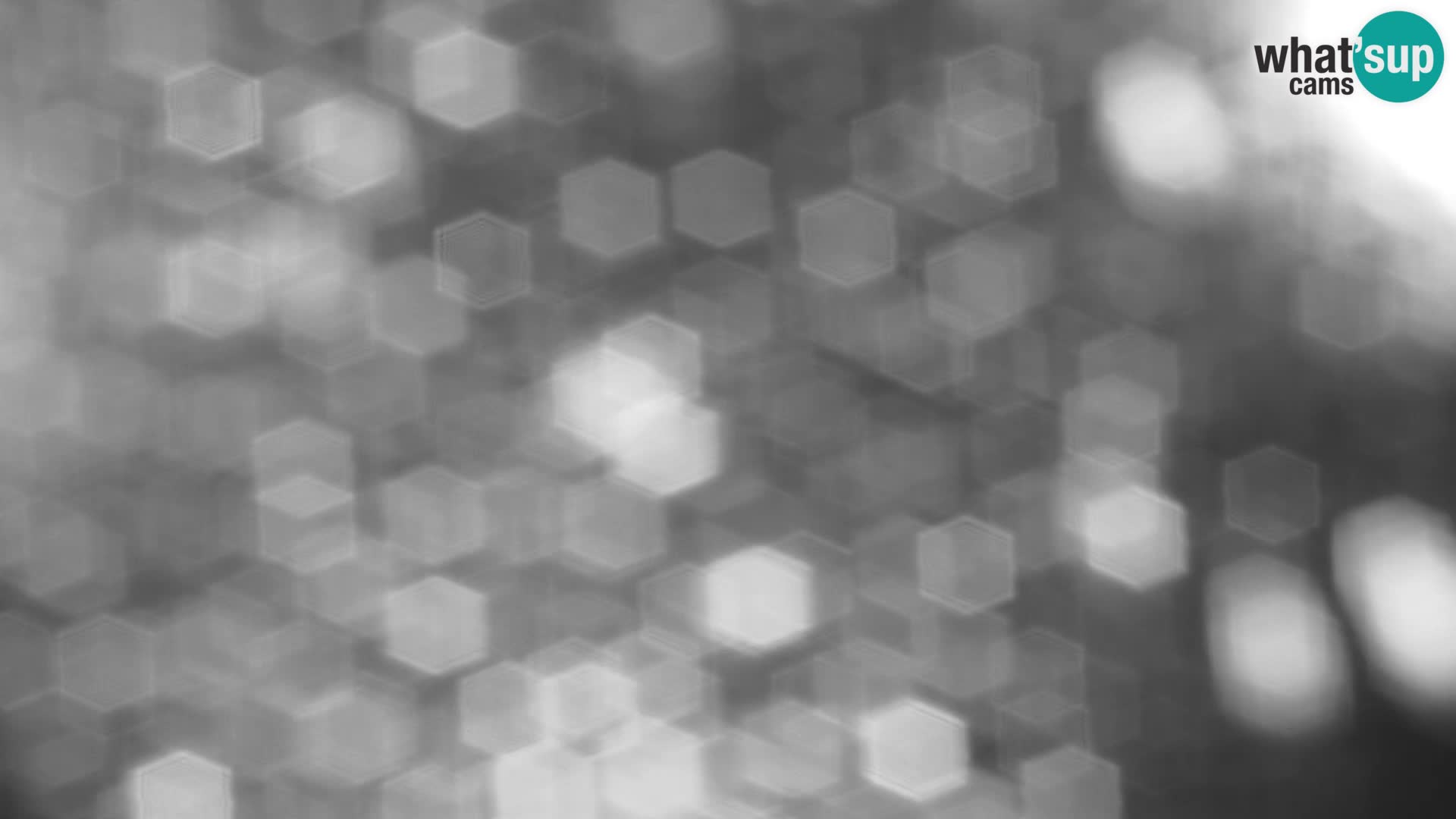 Velika Planina | Gradišče