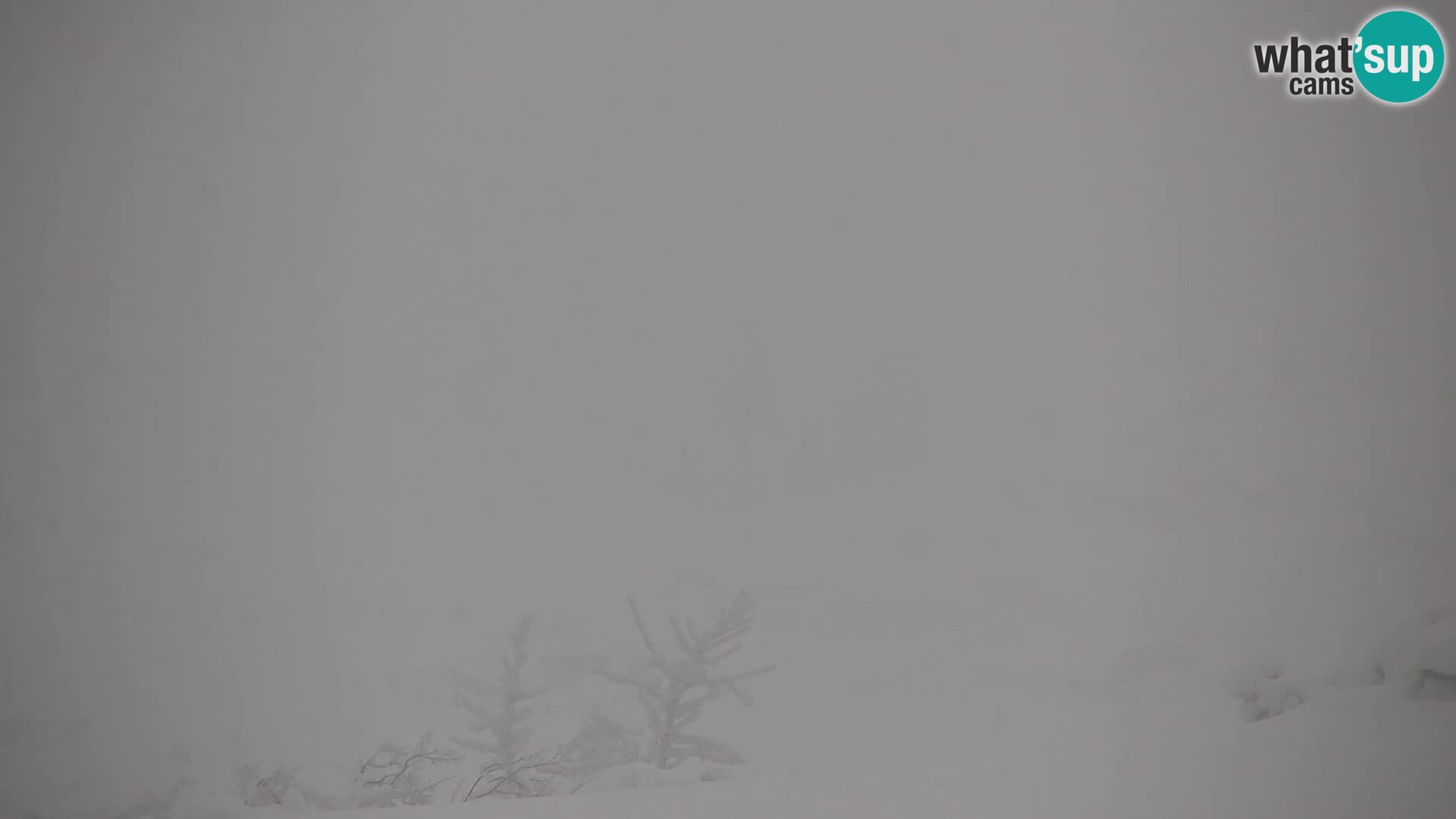 Velika Planina | Gradišče