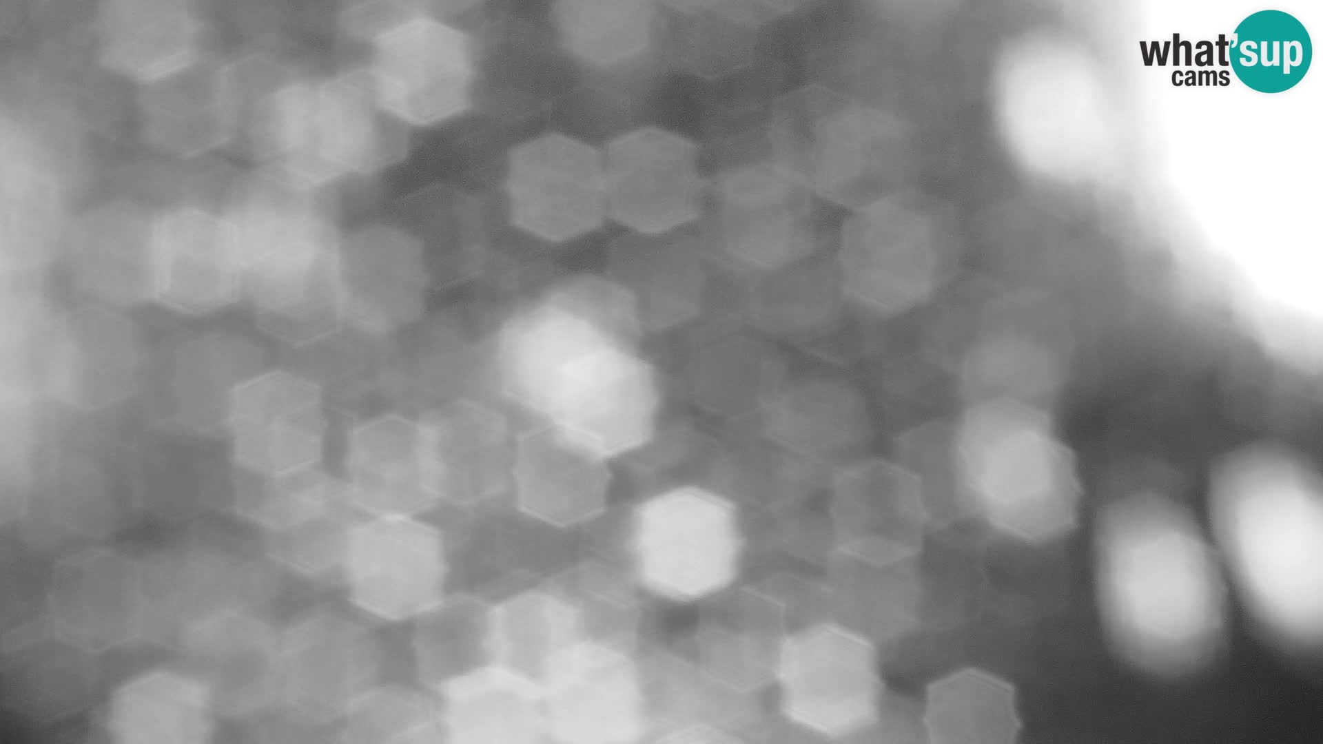 Velika Planina | Gradišče